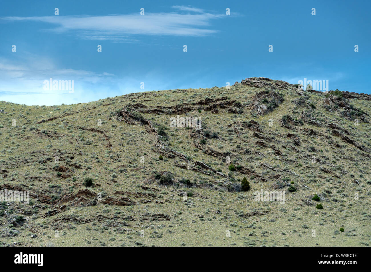 Gefaltete Muschelkalk, Montana, USA Stockfoto
