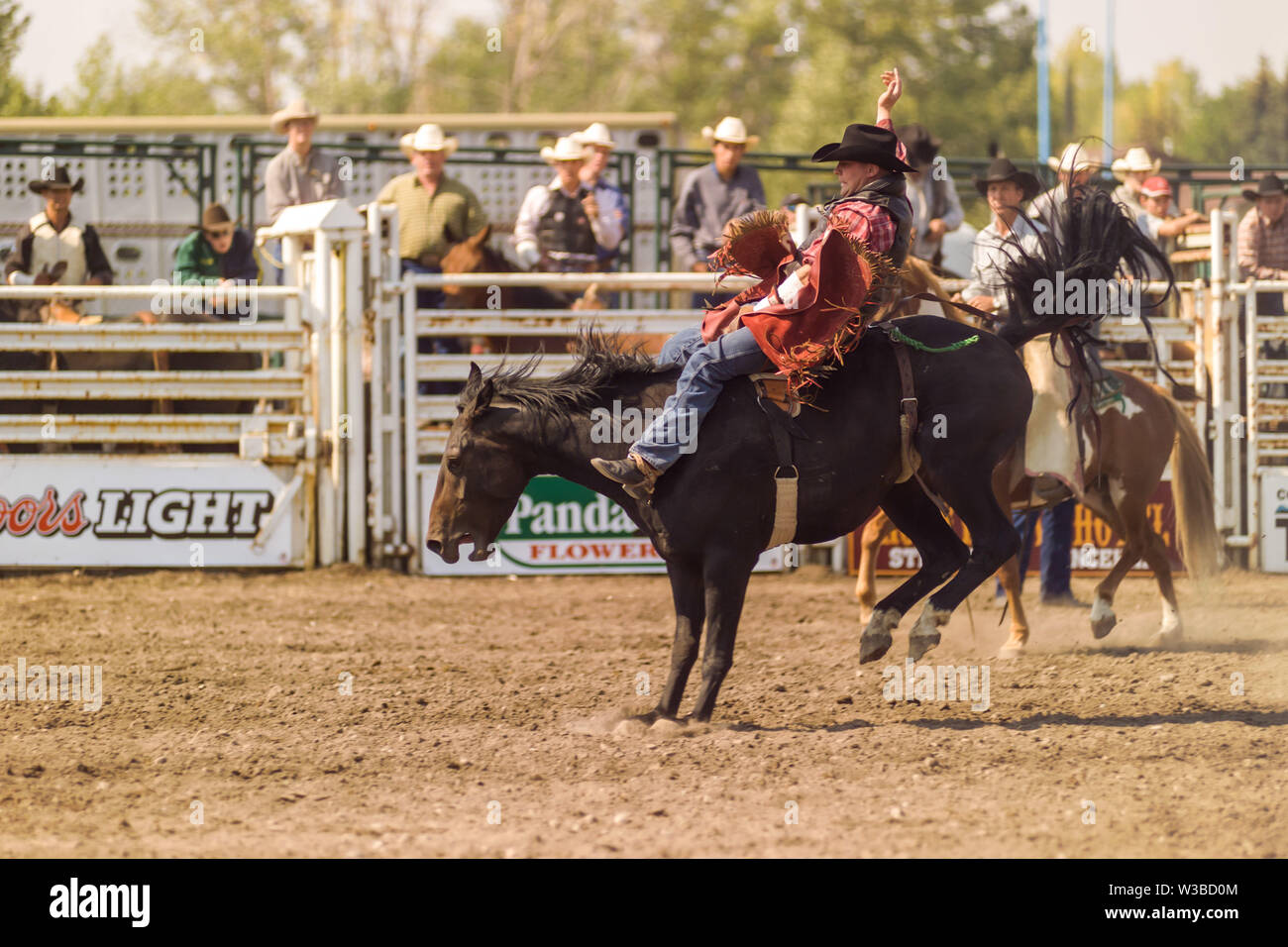 Rodeo Ereignis in Cochrane, Alberta, Kanada Stockfoto