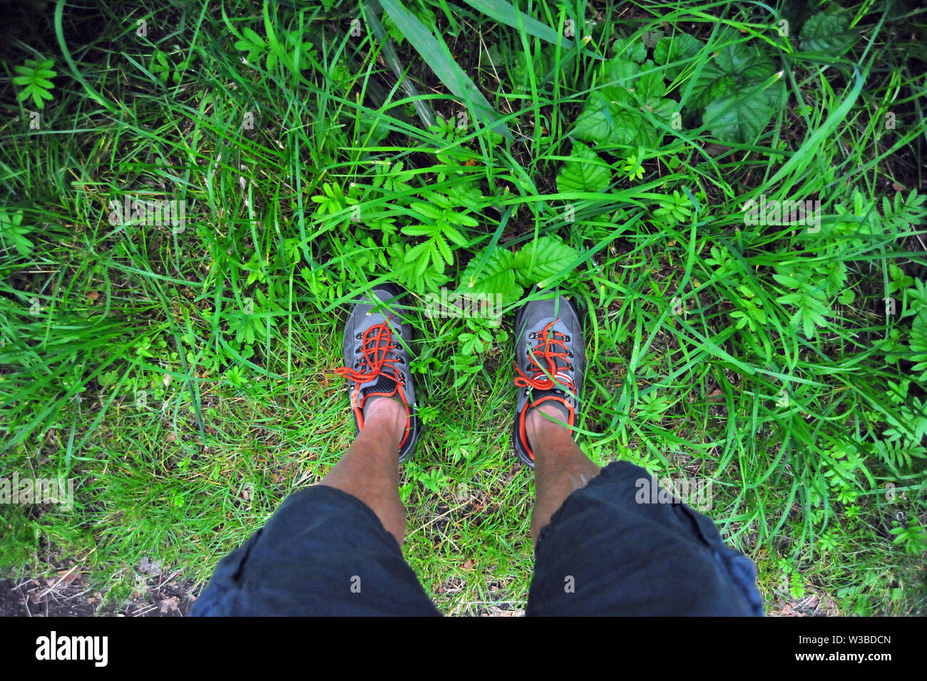Wandern in den Boberger Dünen, Hamburg, Deutschland Stockfoto