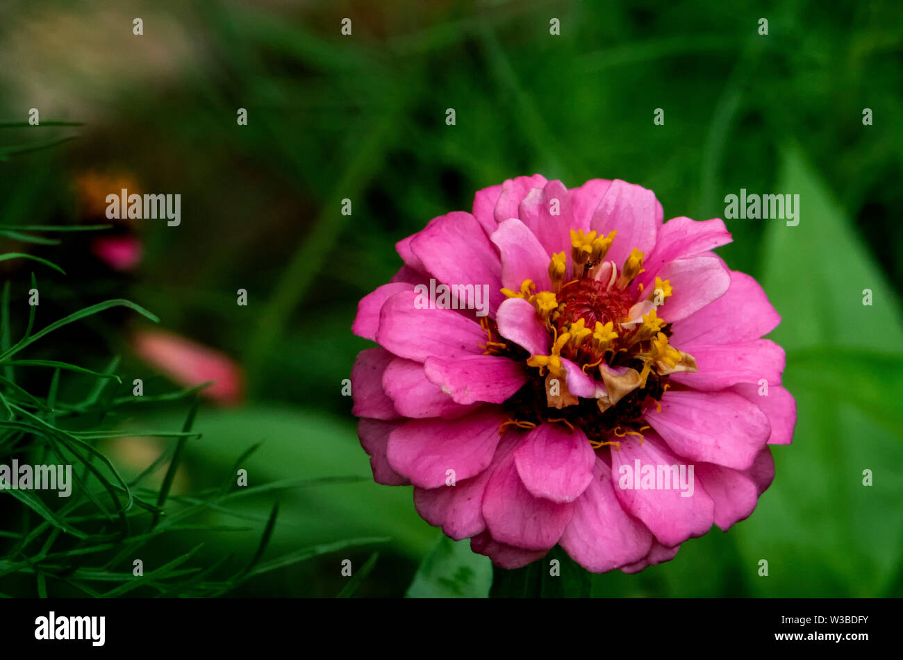Alleine in der Ecke Stockfoto