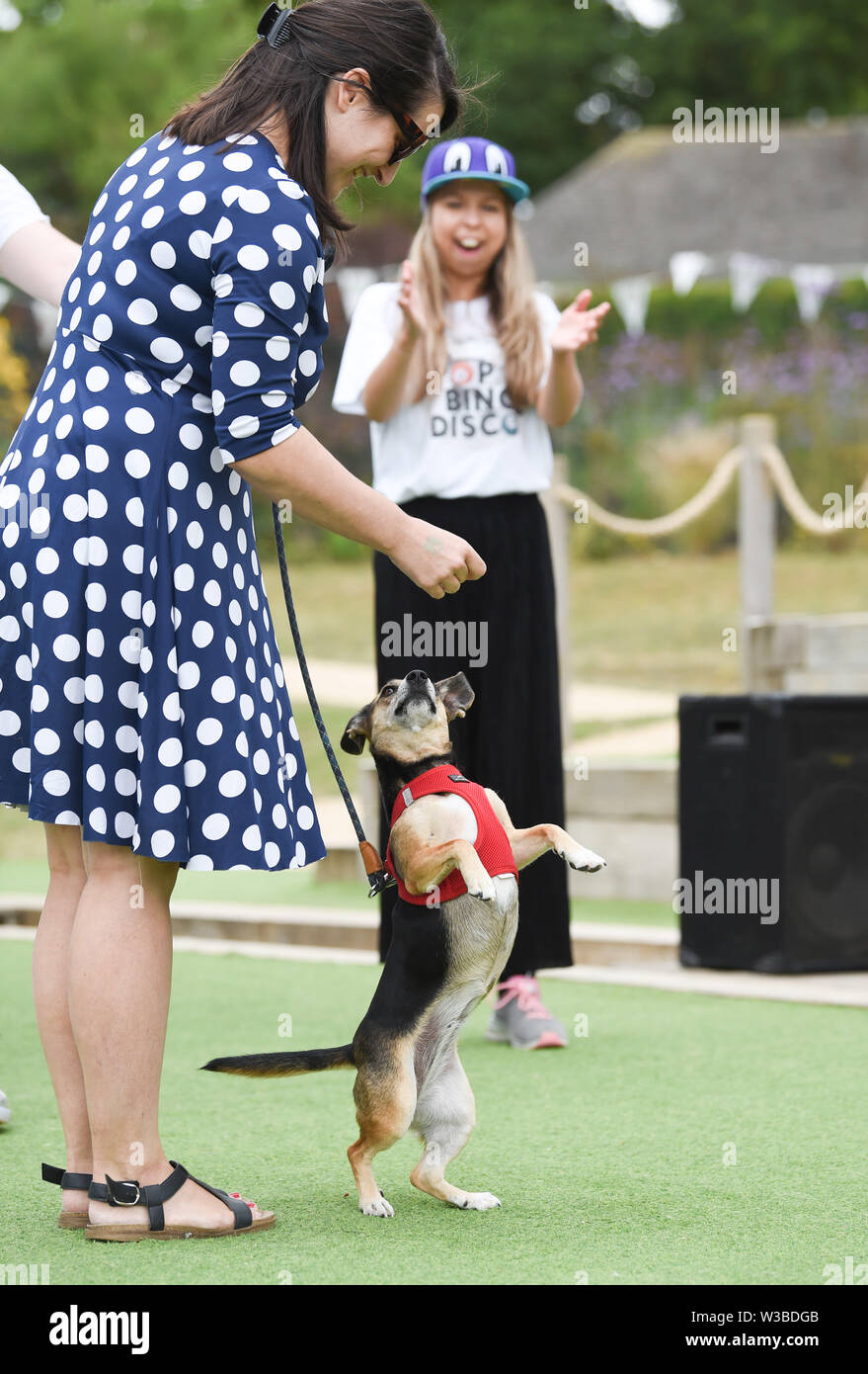 Brighton UK 14. Juli 2019 - Hunde und ihre Besitzer zu erhalten, die für eine Mischung aus Disco und ein Spiel von Bingo, da sie Teil der Welt Premier der Doggy Pop Bingo Disco Show im Brighton Open Air Theater heute. Foto: Simon Dack/Alamy leben Nachrichten Stockfoto