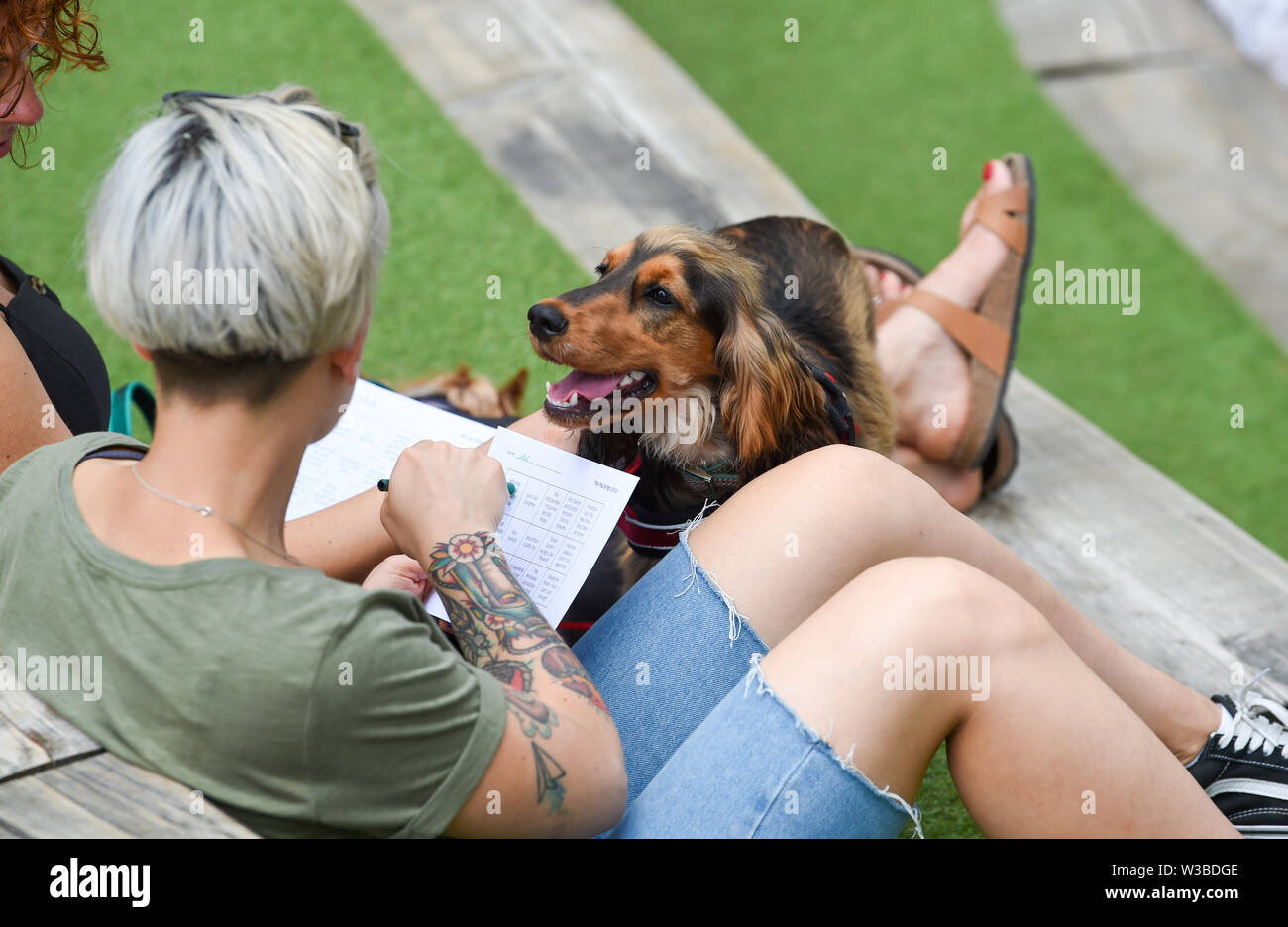 Brighton UK 14. Juli 2019 - Hunde und ihre Besitzer zu erhalten, die für eine Mischung aus Disco und ein Spiel von Bingo, da sie Teil der Welt Premier der Doggy Pop Bingo Disco Show im Brighton Open Air Theater heute. Foto: Simon Dack/Alamy leben Nachrichten Stockfoto