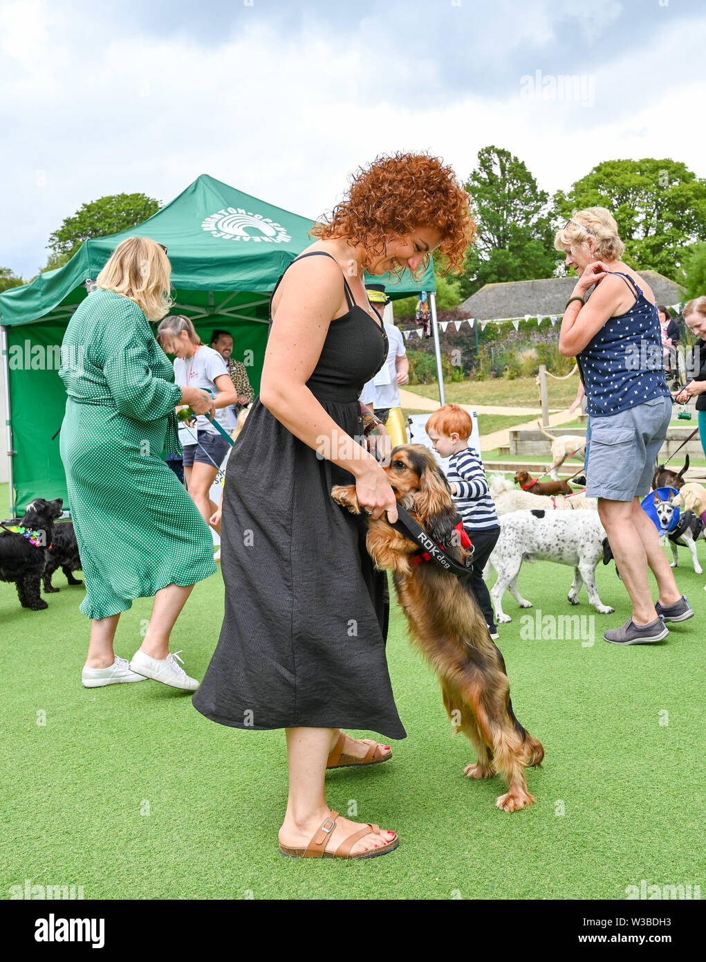 Brighton UK 14. Juli 2019 - Hunde und ihre Besitzer zu erhalten, die für eine Mischung aus Disco und ein Spiel von Bingo, da sie Teil der Welt Premier der Doggy Pop Bingo Disco Show im Brighton Open Air Theater heute. Foto: Simon Dack/Alamy leben Nachrichten Stockfoto