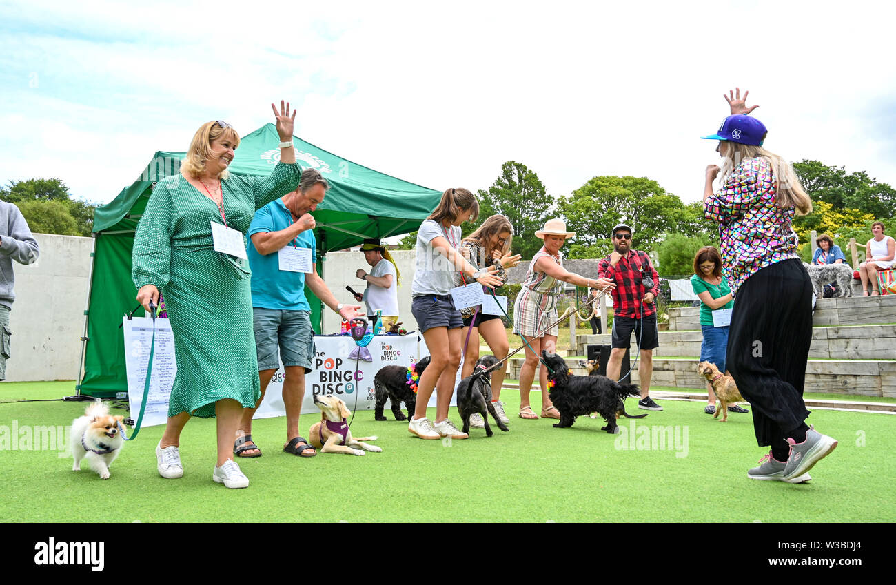 Brighton UK 14. Juli 2019 - Hunde und ihre Besitzer zu erhalten, die für eine Mischung aus Disco und ein Spiel von Bingo, da sie Teil der Welt Premier der Doggy Pop Bingo Disco Show im Brighton Open Air Theater heute. Foto: Simon Dack/Alamy leben Nachrichten Stockfoto