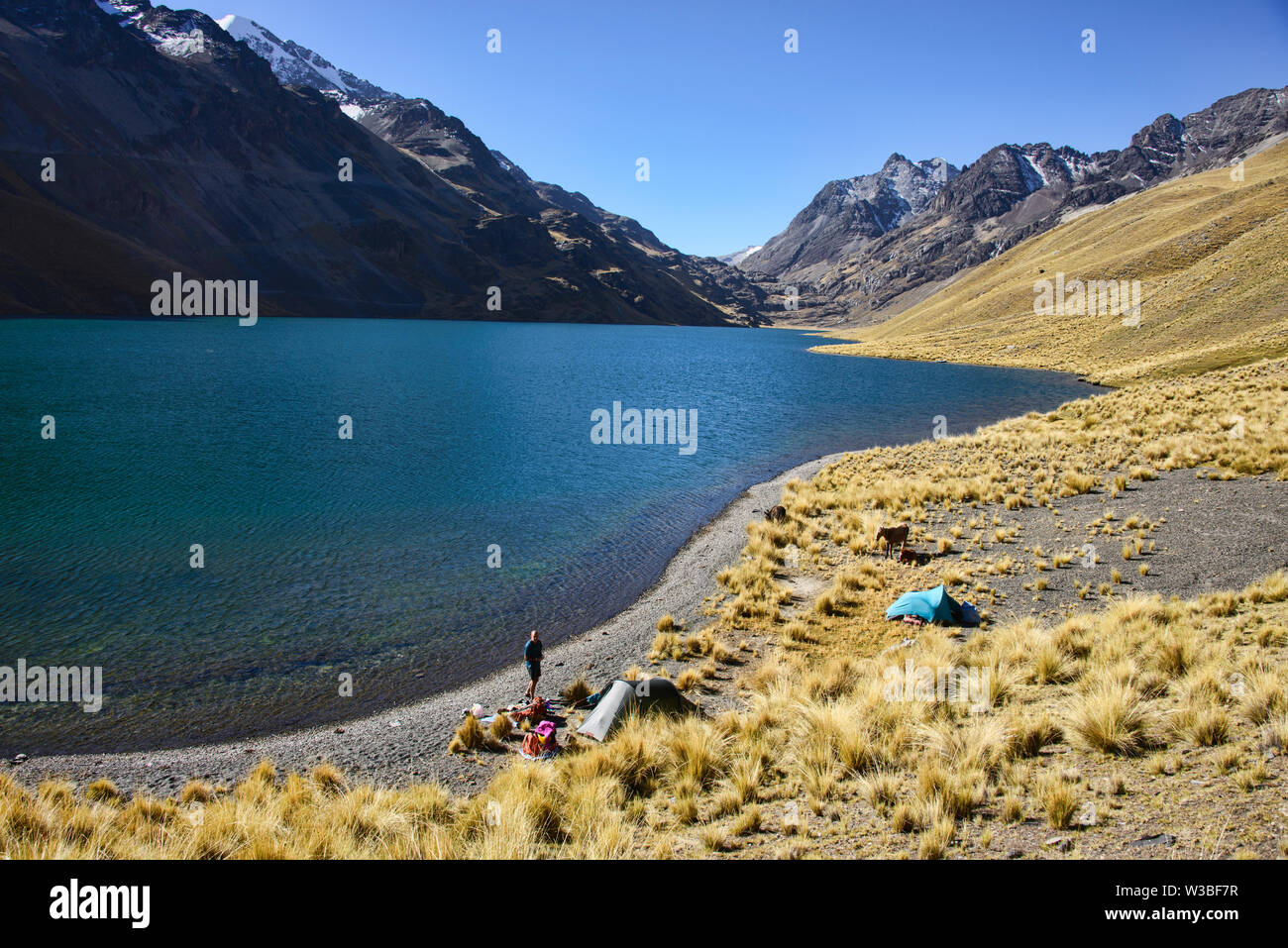 Campingplatz entlang der Laguna Quta Thiya entlang der Cordillera Real Traverse, Bolivien Stockfoto