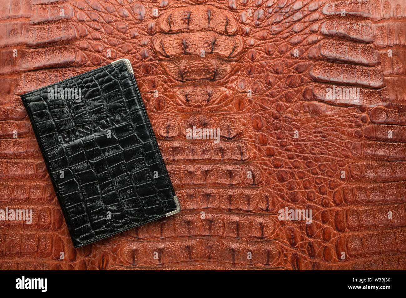 Schwarz Leder Passdecke liegend auf ein braunes Krokodilleder. Mit Platz für Design, Text platzieren. Ansicht von oben Stockfoto