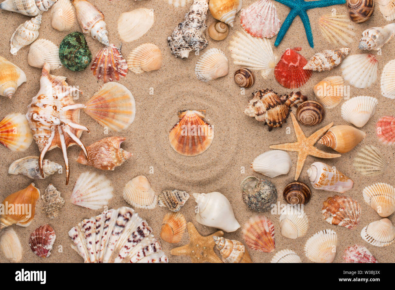 Muschel in der Mitte eines Kreises aus Sand, Muscheln und Sterne. Ansicht von oben Stockfoto