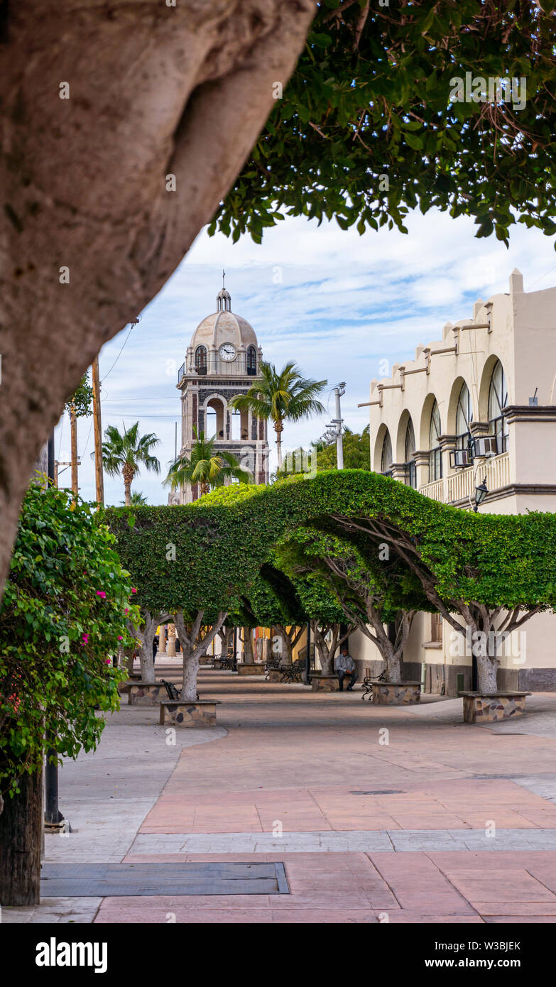 Hauptstraße im Zentrum von Loreto in Baja California mit einem üppigen, grünen Gasse tree Stockfoto