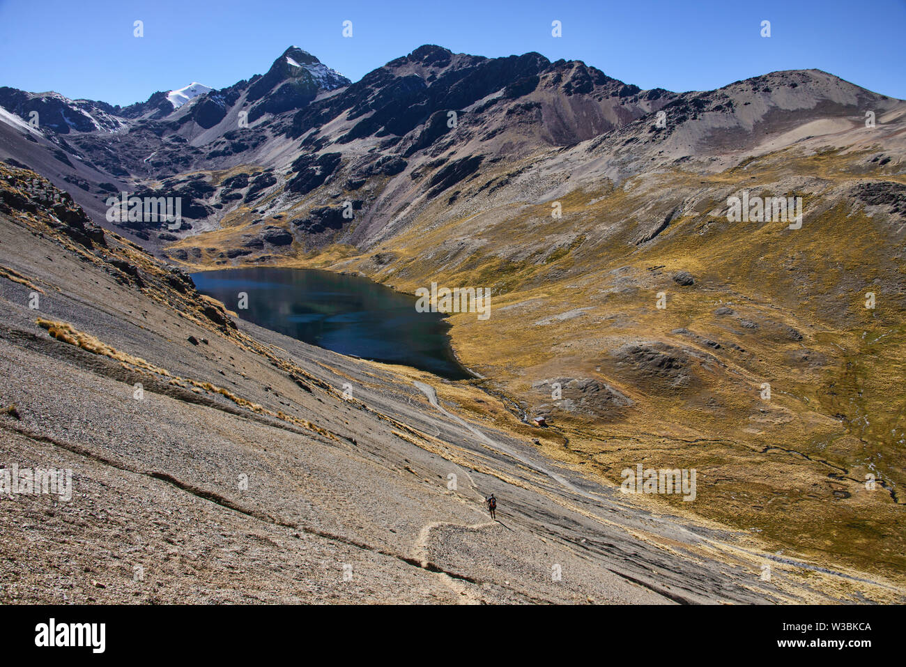 Blick auf die Lagune (Laguna Janchallani Sistaña) auf die Cordillera Real Traverse, Bolivien Stockfoto