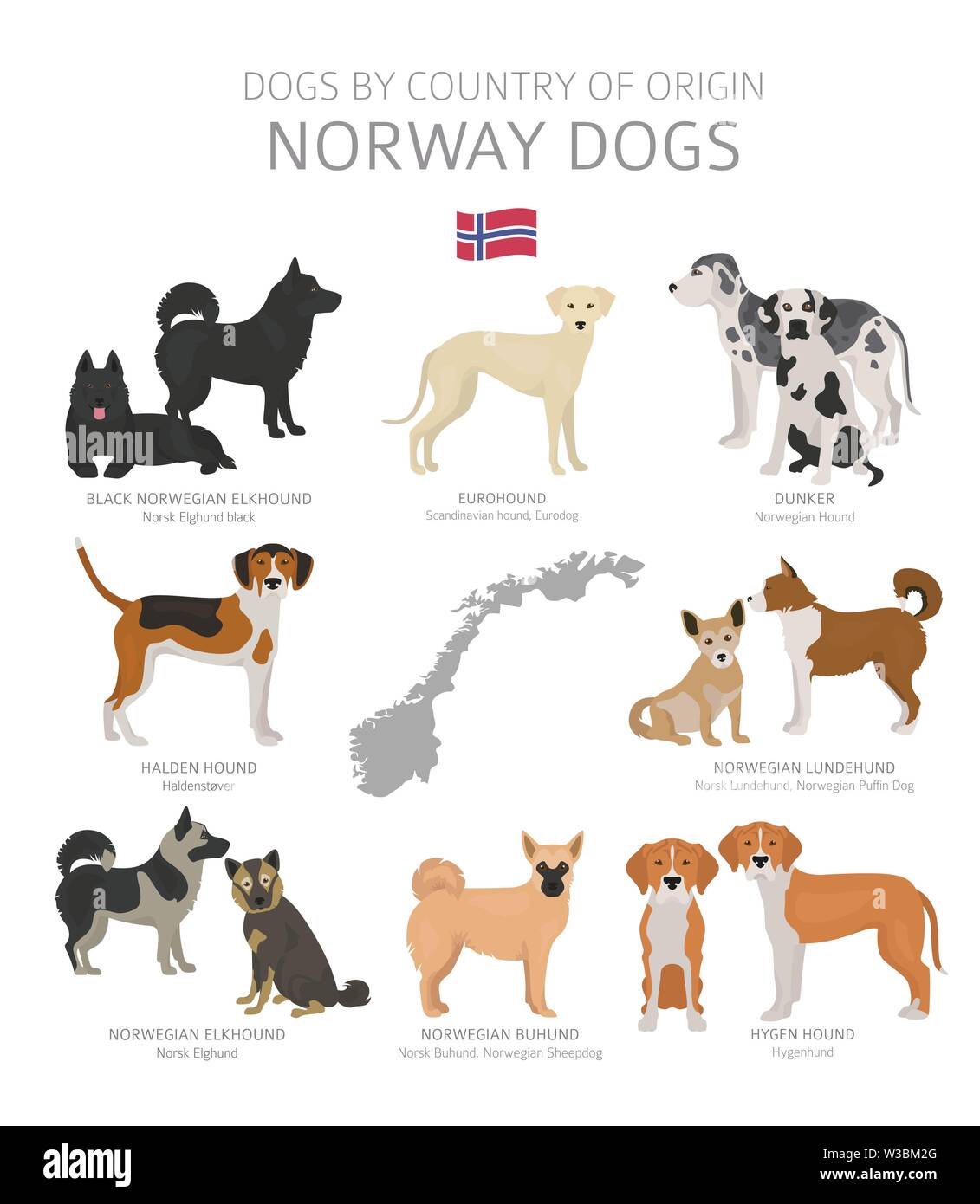 Hunde nach Herkunftsland. Norwegen Hunderassen. Hirten, Jagd, Hüten, Spielzeug, Arbeiten und Service Hunde eingestellt. Vector Illustration Stock Vektor