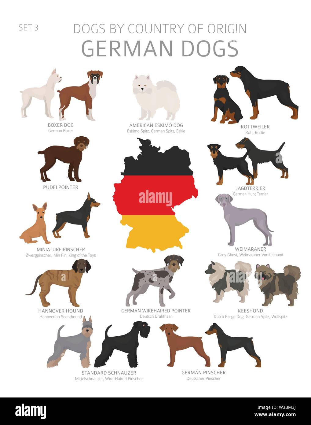Hunde nach Herkunftsland. Deutsche Hunderassen. Hirten, Jagd, Hüten, Spielzeug, Arbeiten und Service Hunde eingestellt. Vector Illustration Stock Vektor