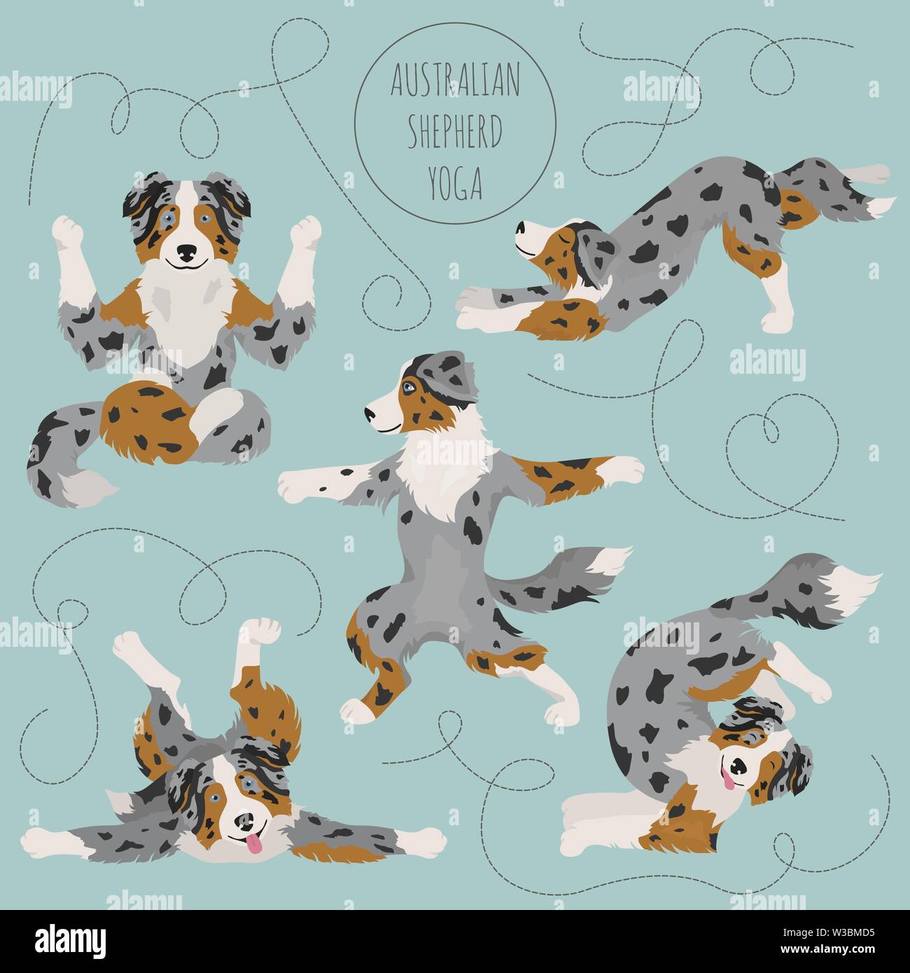 Yoga hunde Posen und Übungen. Australian Shepherd clipart. Vector