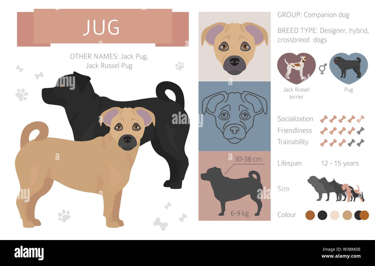 Designer, Enrage, hybrid mix Hunde Sammlung auf Weiß isoliert. Flat Style clipart eingestellt. Vector Illustration Stock Vektor