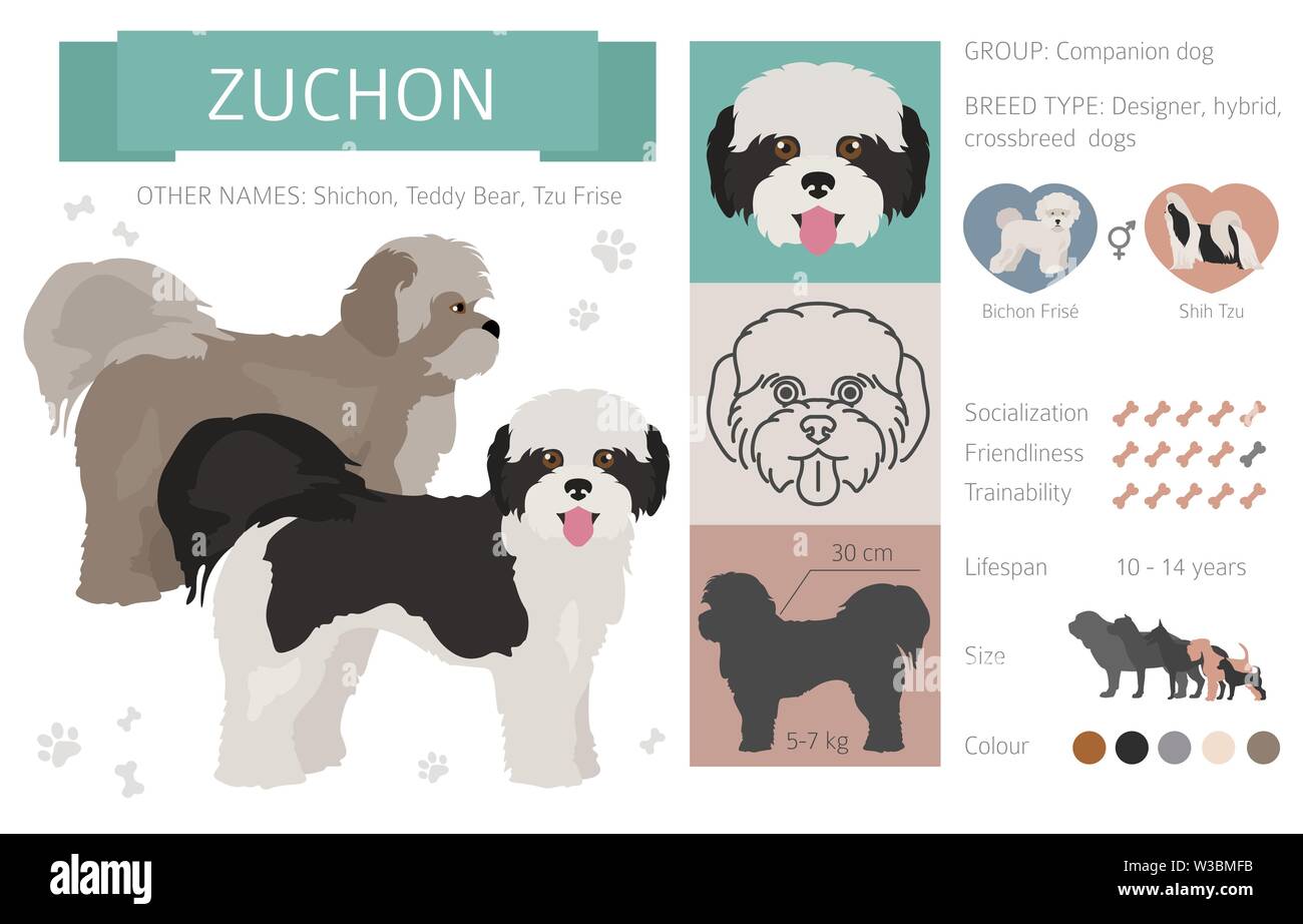 Designer, Enrage, hybrid mix Hunde Sammlung auf Weiß isoliert. Flat Style clipart eingestellt. Vector Illustration Stock Vektor