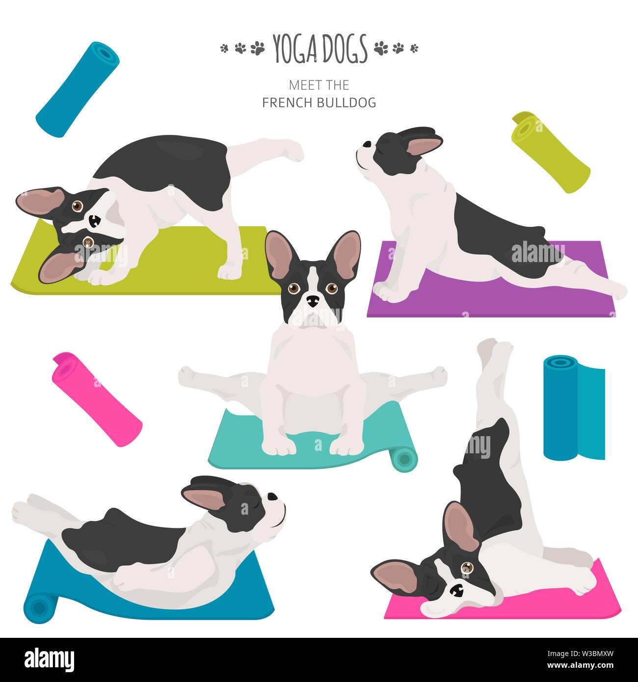 Yoga hunde Posen und Übungen. Französische Bulldogge clipart. Vector Illustration Stock Vektor