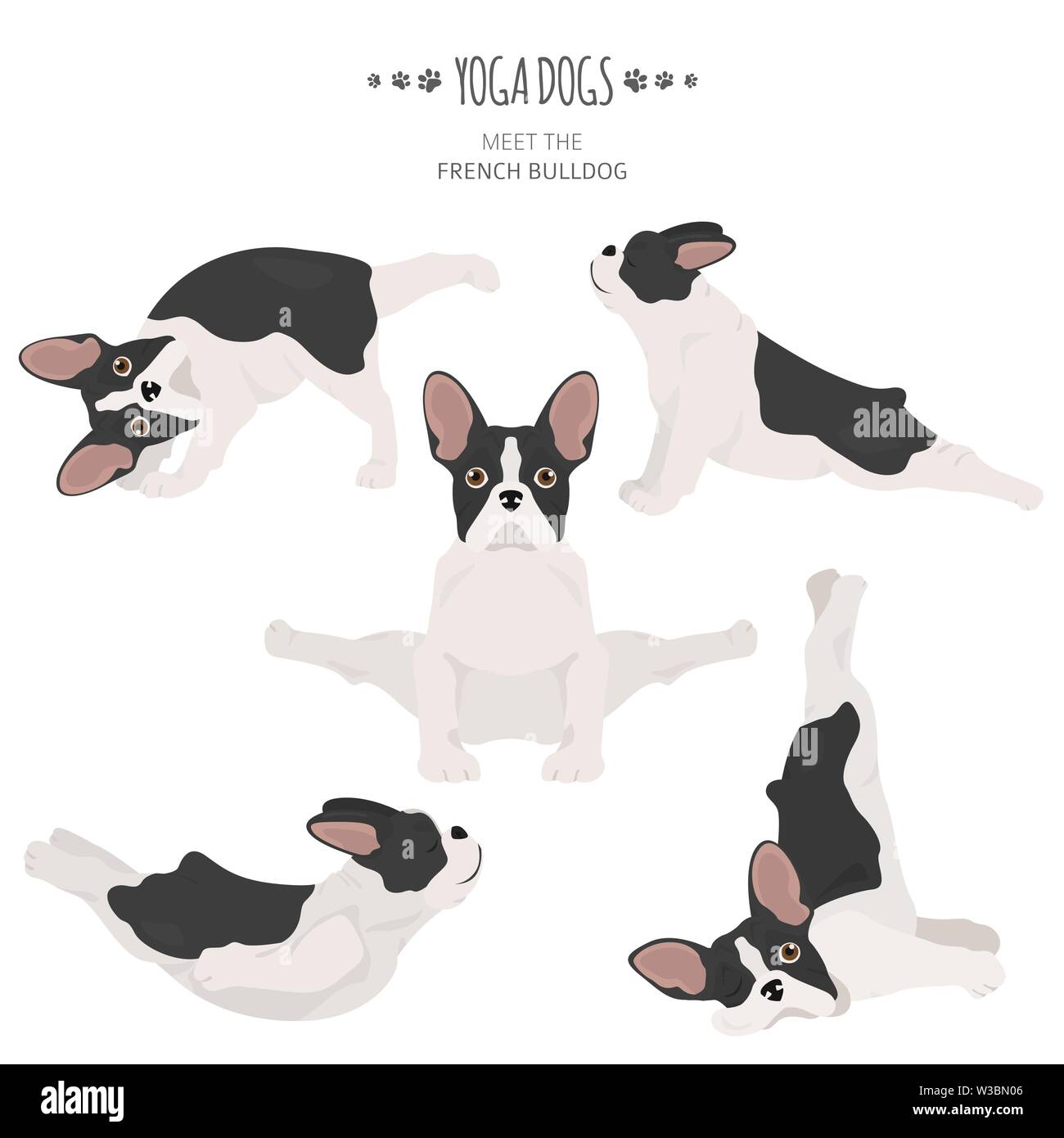 Yoga hunde Posen und Übungen. Französische Bulldogge clipart. Vector Illustration Stock Vektor