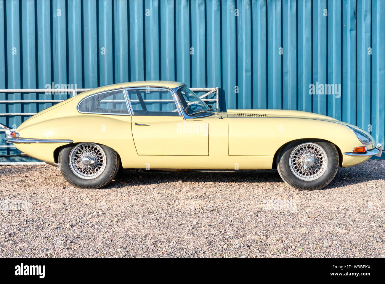 Primrose E-type Jaguar in Autofest, Winchester Auto Scheune, Sutton Scotney, Hampshire, Großbritannien Stockfoto