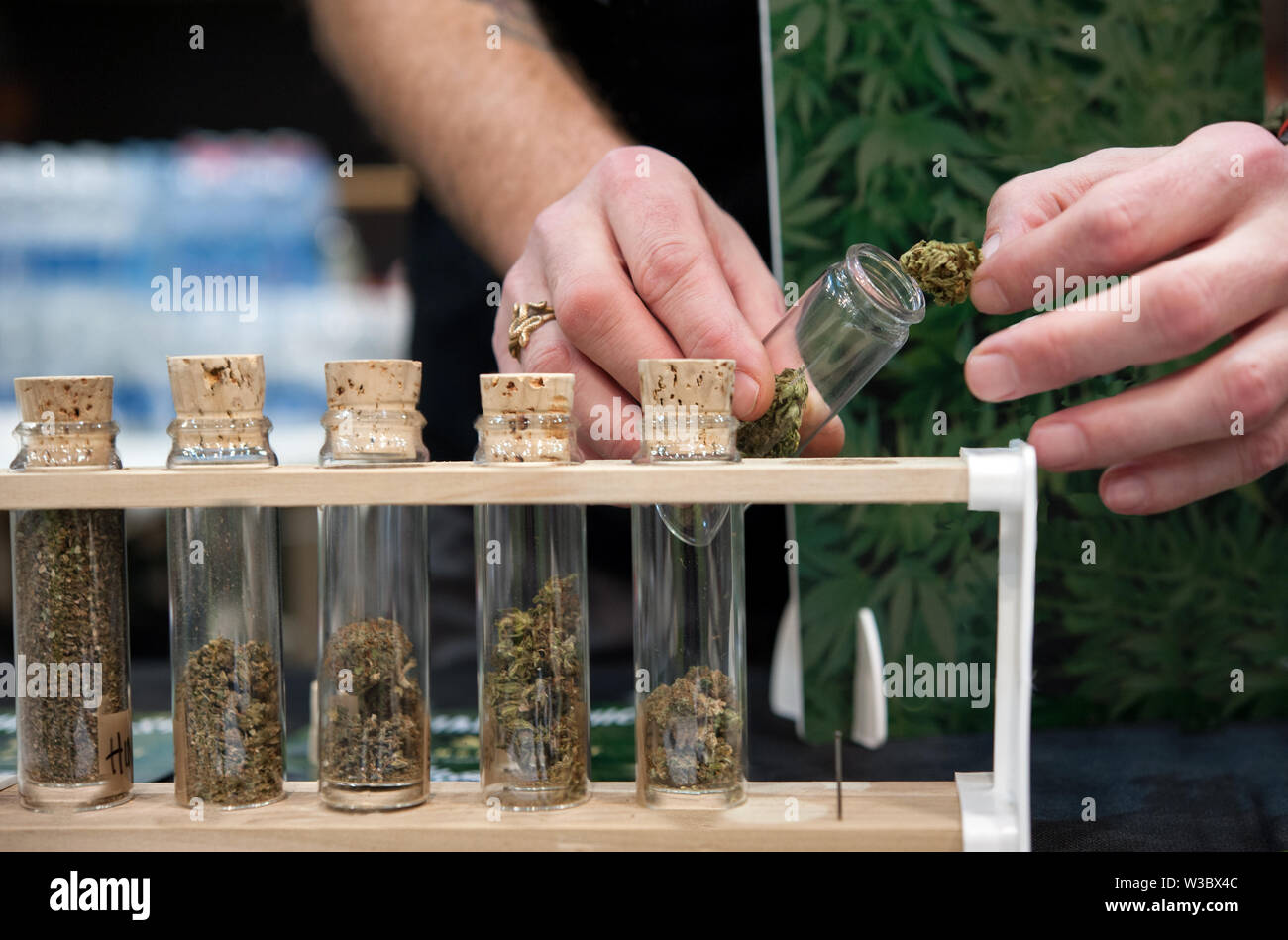 Mehrere Sorten von Cannabis Sativa, in Glasröhrchen, zum Verkauf am Marktstand. Stockfoto