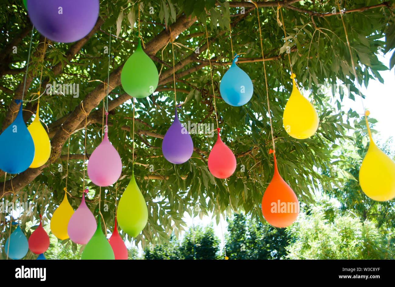 Bunte Luftballons mit Wasser gefüllt sind, hängen an einem Baum, mit grünen Farbe der Blätter im Hintergrund Stockfoto