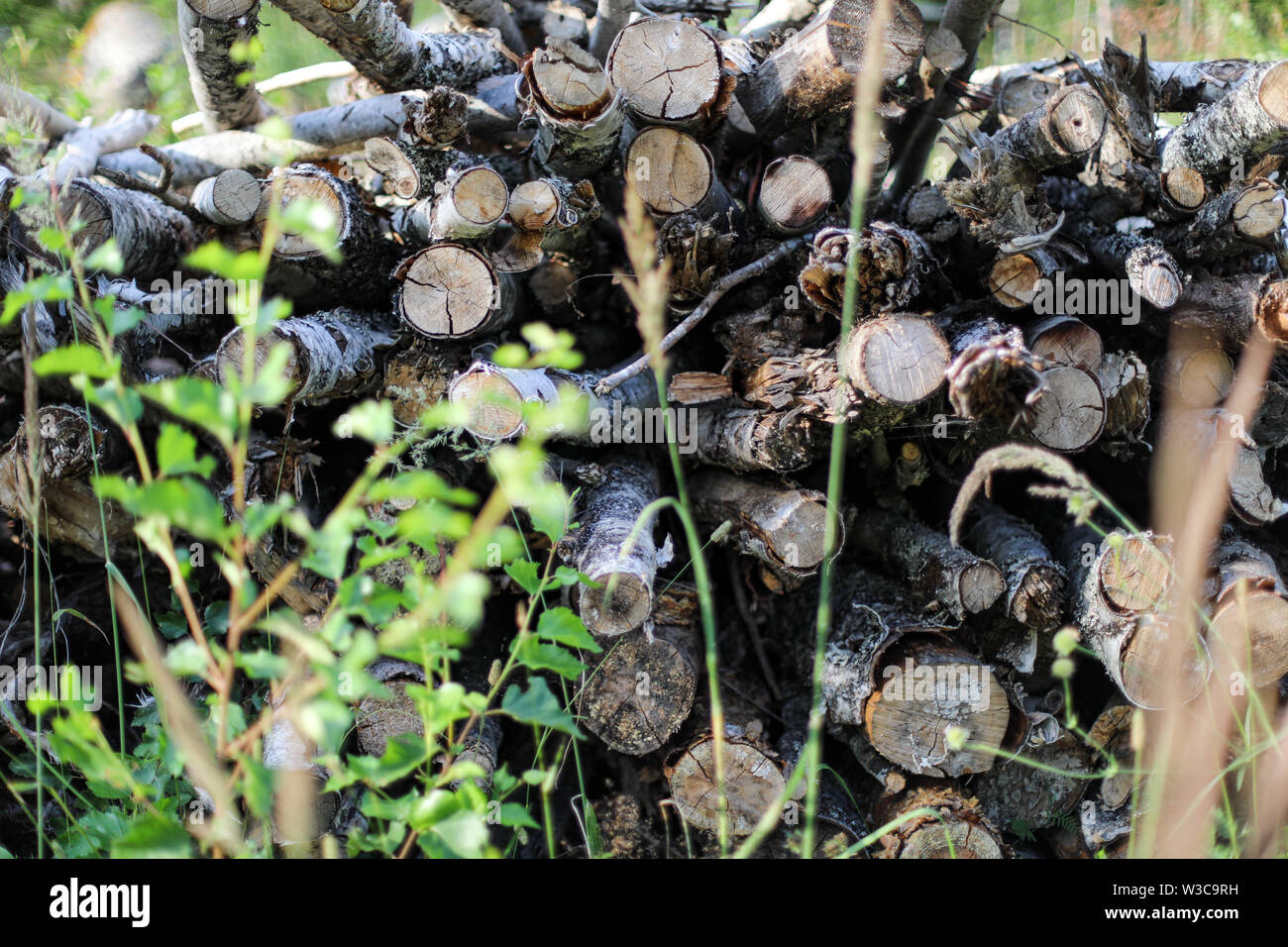 Stapel von Holz durch den Schmutz der Straße in Ylöjärvi, Finnland Stockfoto