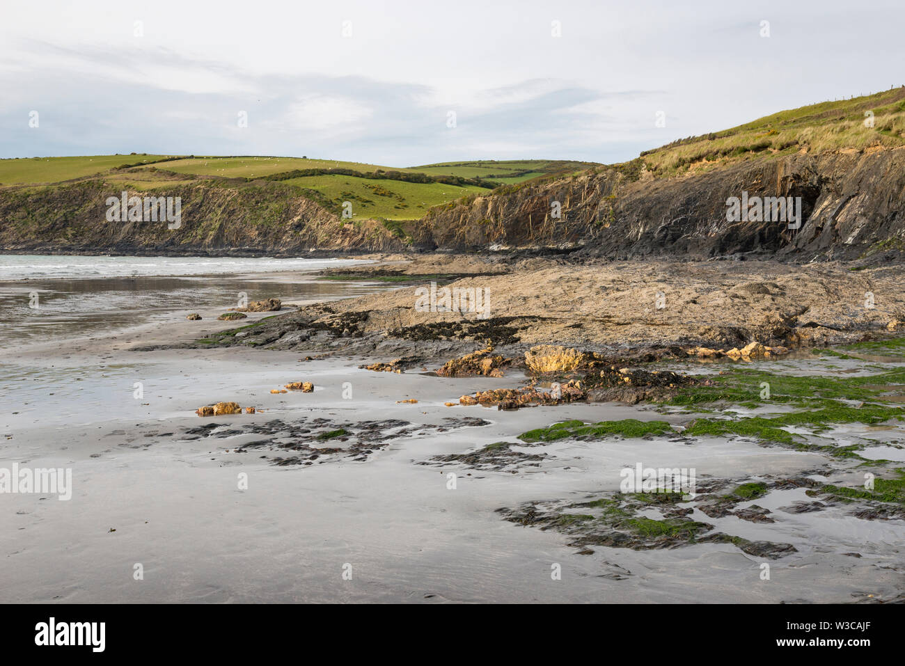 Hohe Klippen am Newport Sand an der Küste von Pembrokeshire, Wales. Stockfoto