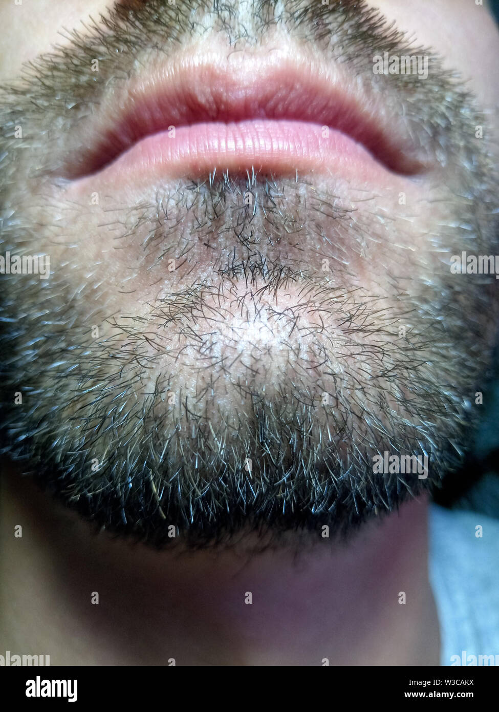 bartiger junger mann stoppeln in der