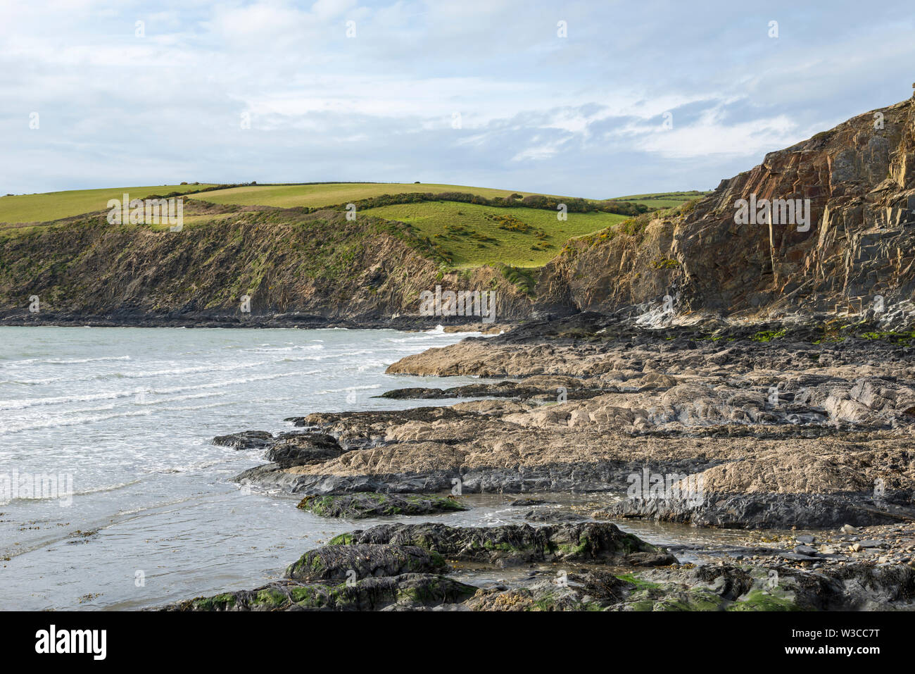 Hohe Klippen am Newport Sand an der Küste von Pembrokeshire, Wales. Stockfoto