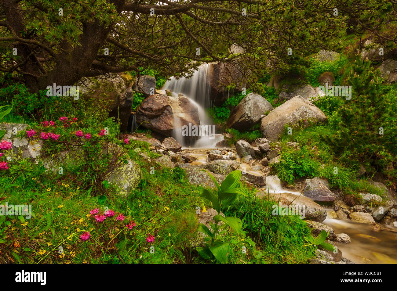 Die Ter Fluss in der Skistation von Vallter 2000. Die Ter ist ein Fluss, der in unmittelbarer Nähe in der so genannten Ulldeter geboren ist, Stockfoto