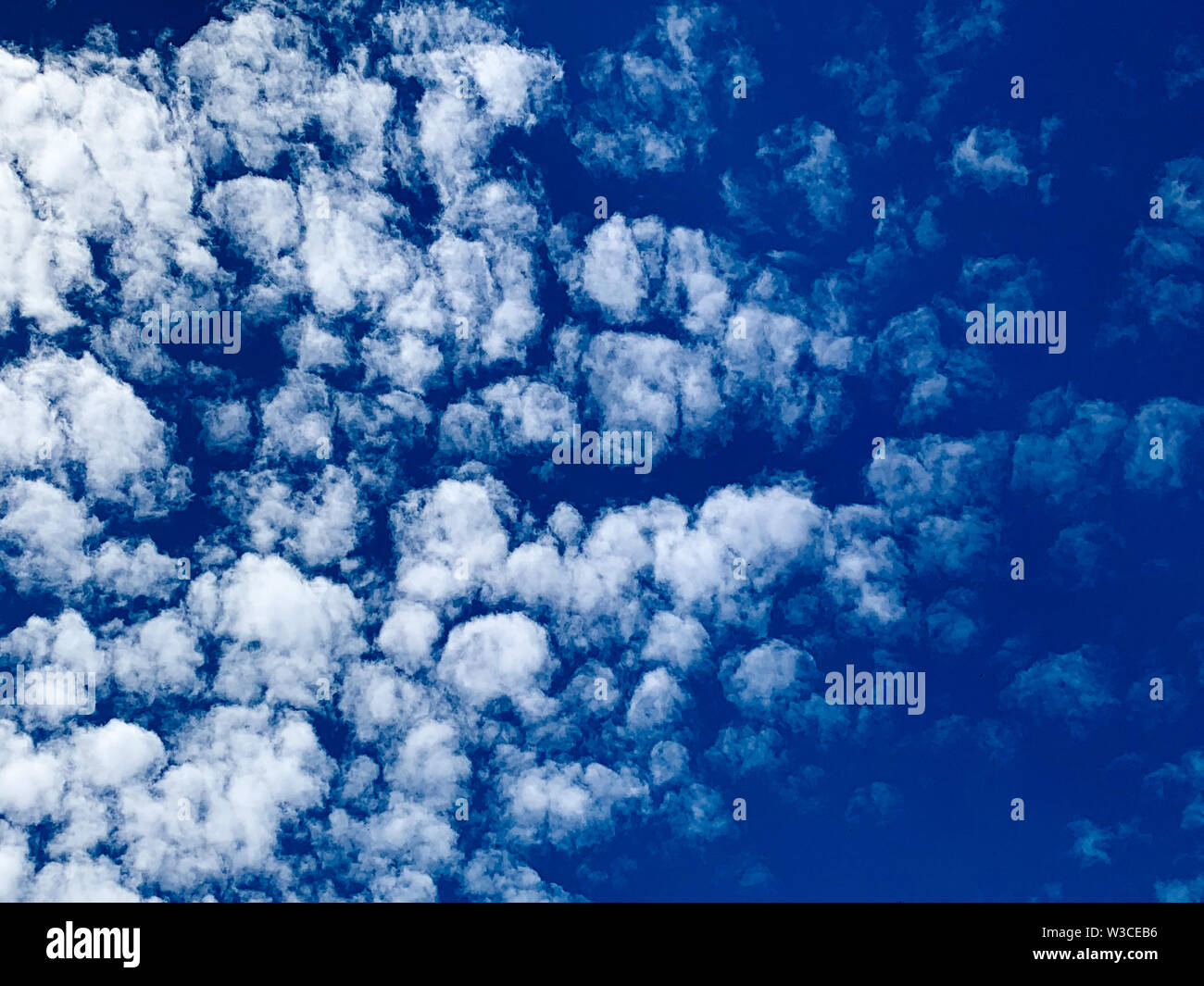 - Wolken sind Kleine abgerundete Puffs, die in der Regel in langen Reihen hoch am Himmel erscheinen. - Sind in der Regel weiß Stockfoto