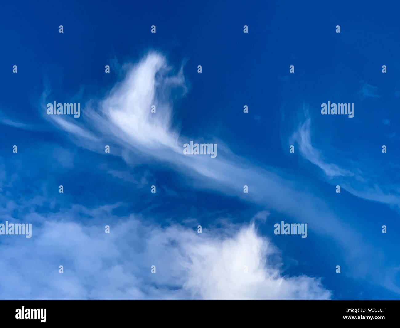 Cirrus ist eine Gattung der atmosphärischen Cloud im Allgemeinen durch dünne, wispy Stränge gekennzeichnet, wodurch die Art seinen Namen vom lateinischen Wort Cirrus. Stockfoto