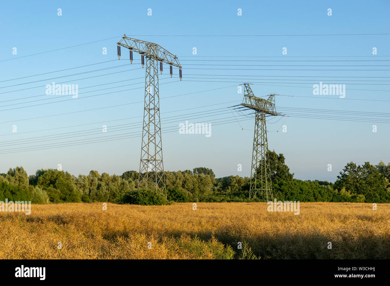 Strommasten bei Sonnenuntergang - landwirtschaftliches Feld Stockfoto