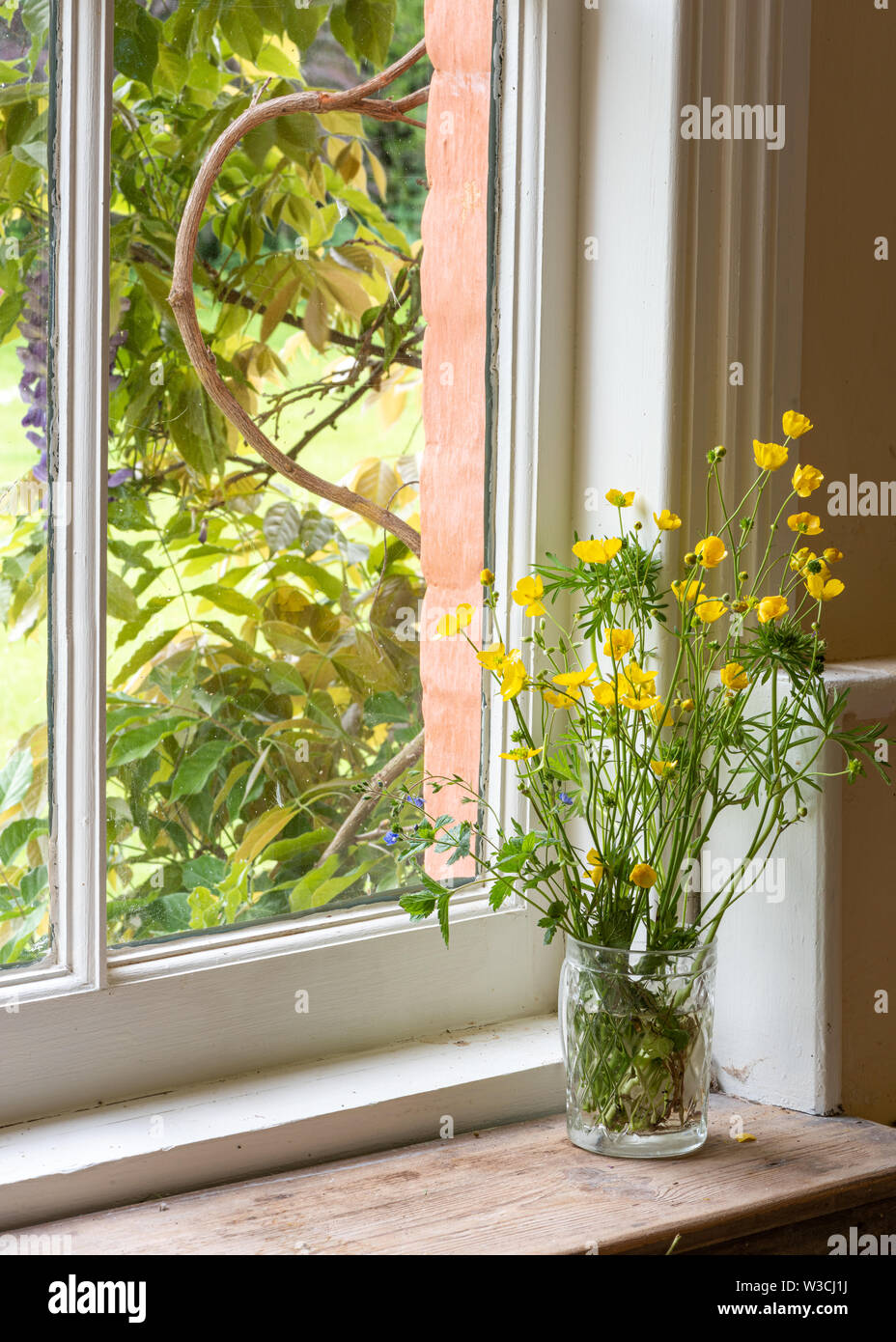 Wildblumen in einem Fenster Stockfoto