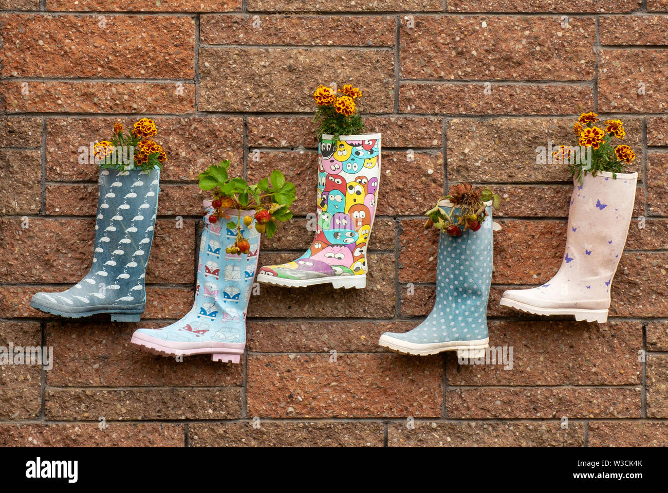 Ist lustig, Kinder Kid's Wellington welly boots Blumentöpfe mit Erdbeeren und Blumen gepflanzt, die Mauer in irischen Kindergarten. Stockfoto