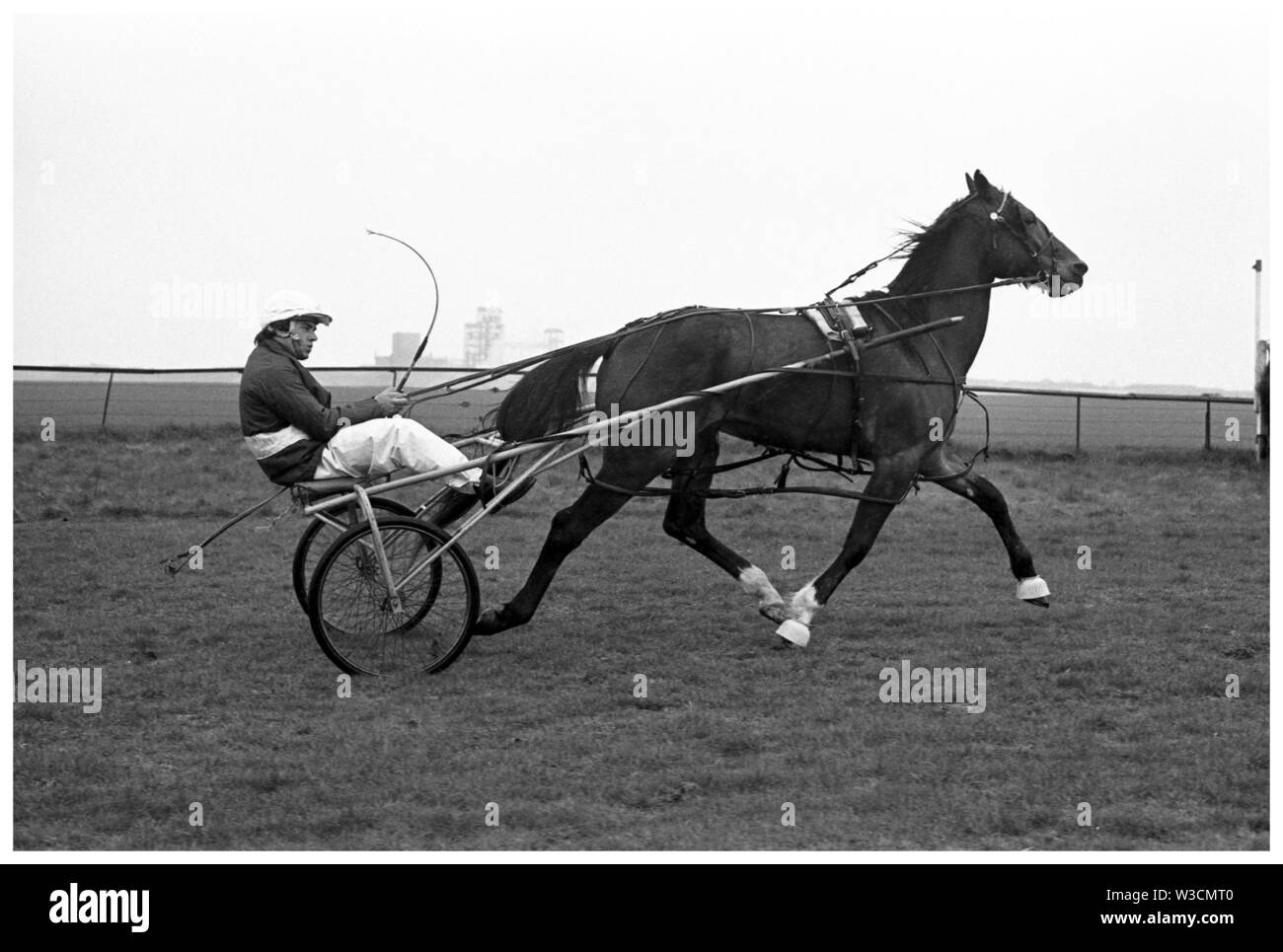 Tommy Marshall, Hannover. Trabrennen (Trab) an Bogside Pferderennbahn, Irvine, 1973. Stockfoto