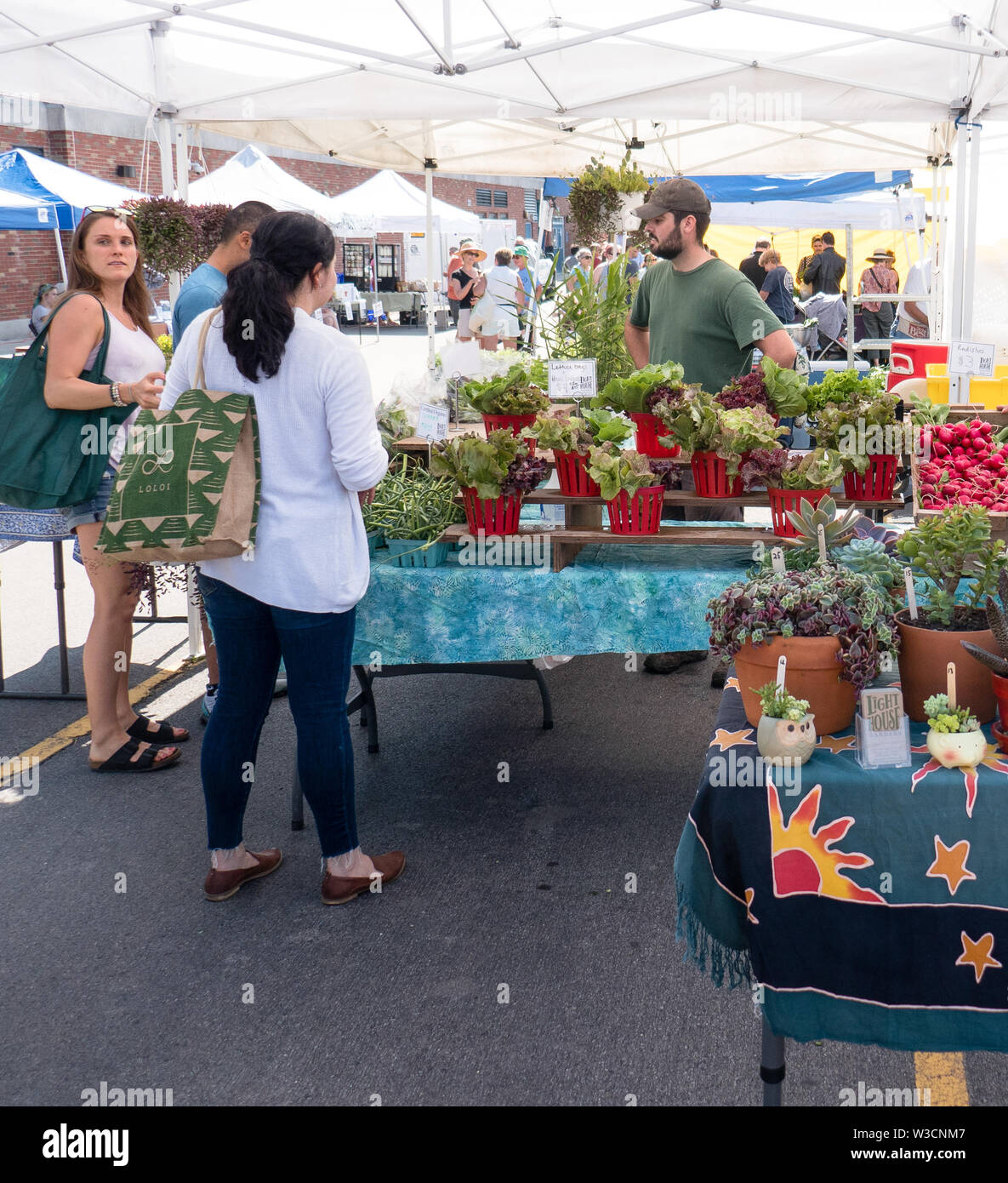 Rochester, NY - 14. Juli 2019: Brighton Farmers Market an einem sonnigen Sommertag mit Familien, Unterhaltung und Anbietern. Stockfoto