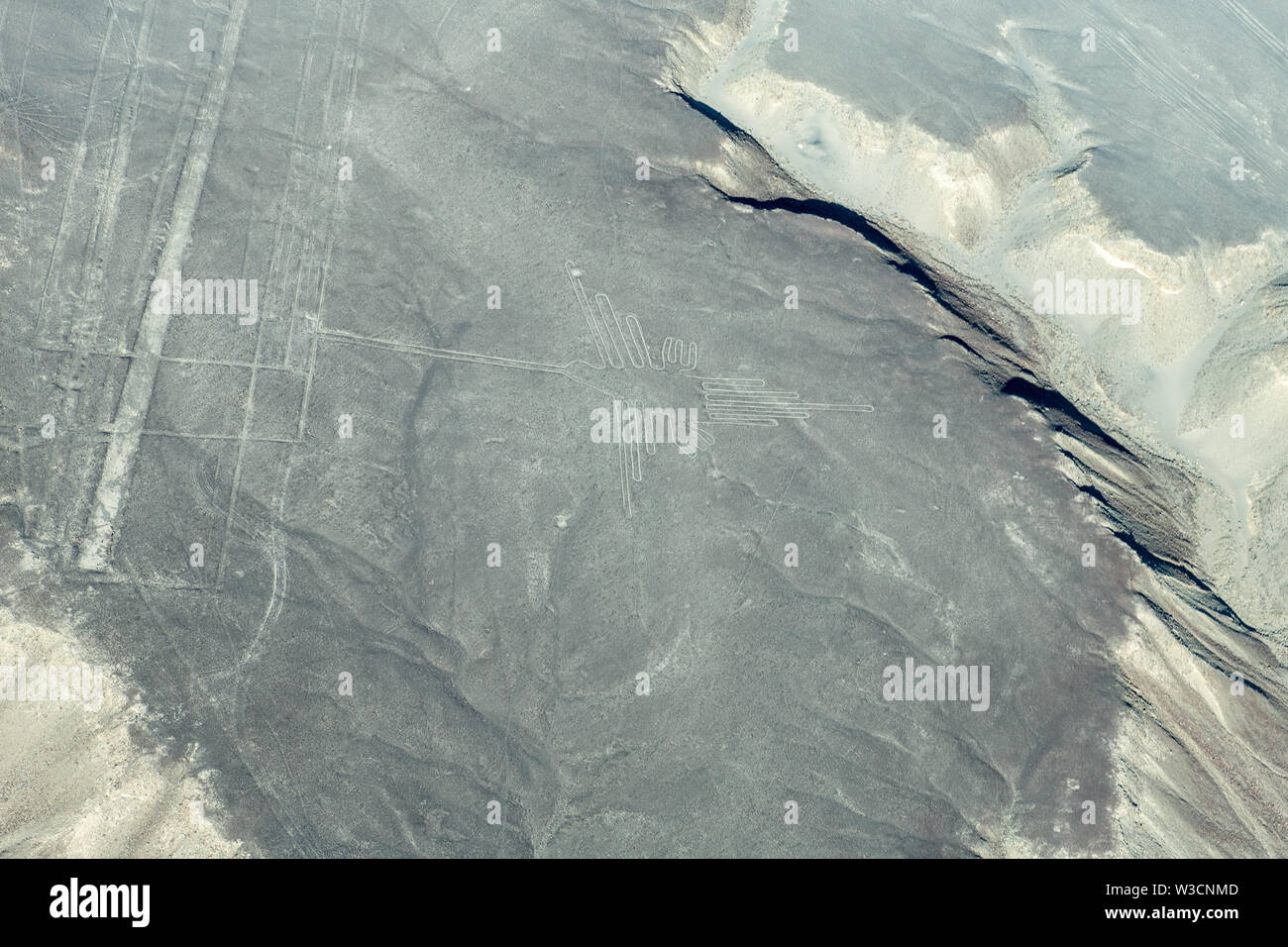 Hummingbird Glyphe auf die Nazca-linien in Peru Stockfoto