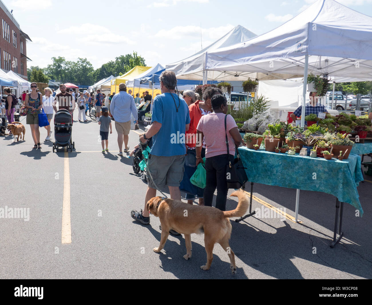 Rochester, NY - 14. Juli 2019: Brighton Farmers Market an einem sonnigen Sommertag mit Familien, Unterhaltung und Anbietern. Stockfoto