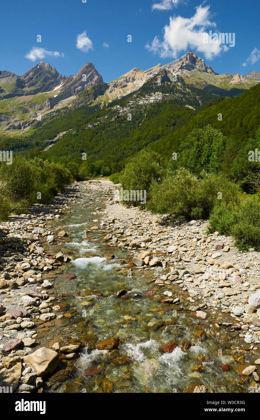 Cinca Fluss durch Pineta Tal mit Gipfeln im Hintergrund von Ordesa y Monte Perdido Nationalpark (Sobrarbe, Huesca, Pyrenäen, Aragon, Spanien) Stockfoto