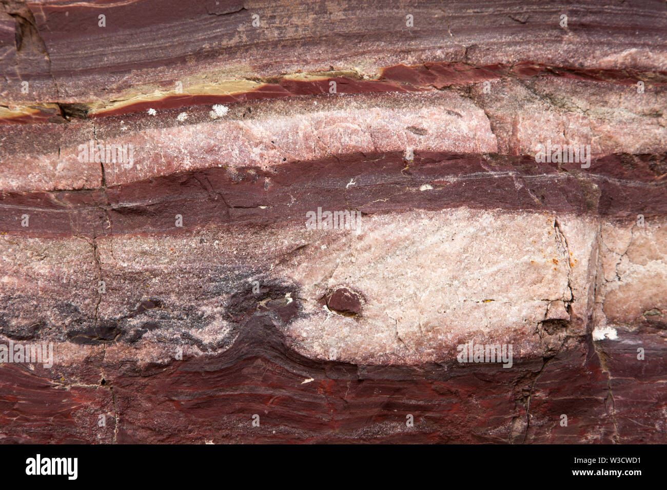 Load wandelt und Flamme Struktur in Präkambrischen Sandstein Schiefer (Quarzit - ARGILLITE) des Grinnell Bildung, Montana, USA. Stockfoto