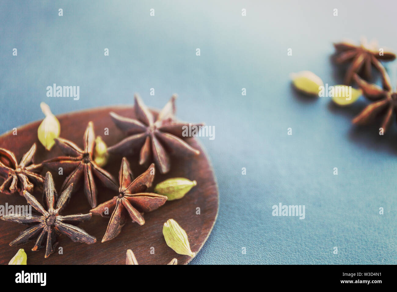 Trockene Sternanis und Kardamom auf einem braunen Holzspachtel. Natürliche Lebensmittel Gewürze und Würzmittel. Lecker essen. Close-up. Stockfoto