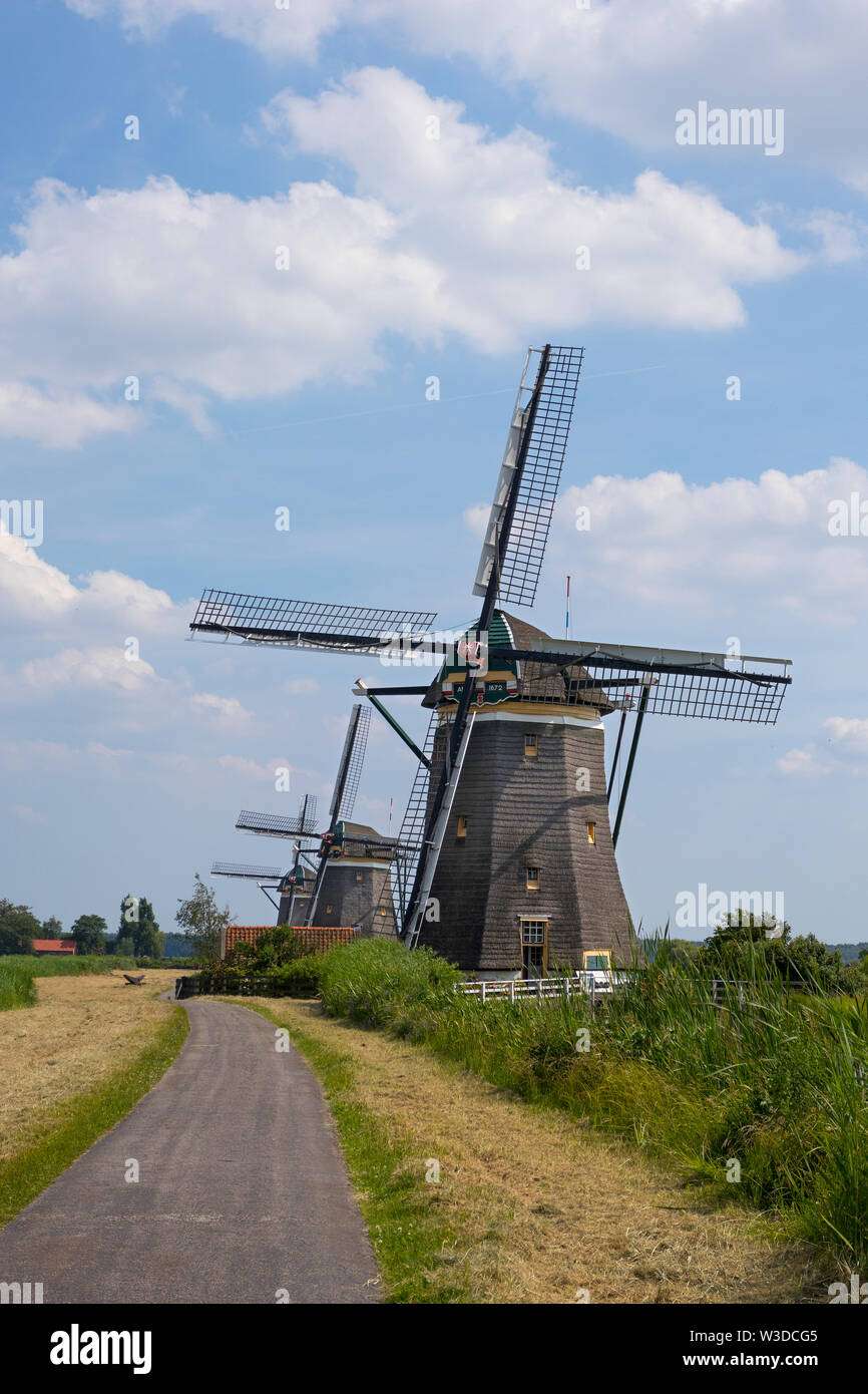 Leidschendam, Niederlande - 24 Juni 2019: Molendriegang, drei Windmühlen, in der Gegend von Leidschendam Stockfoto