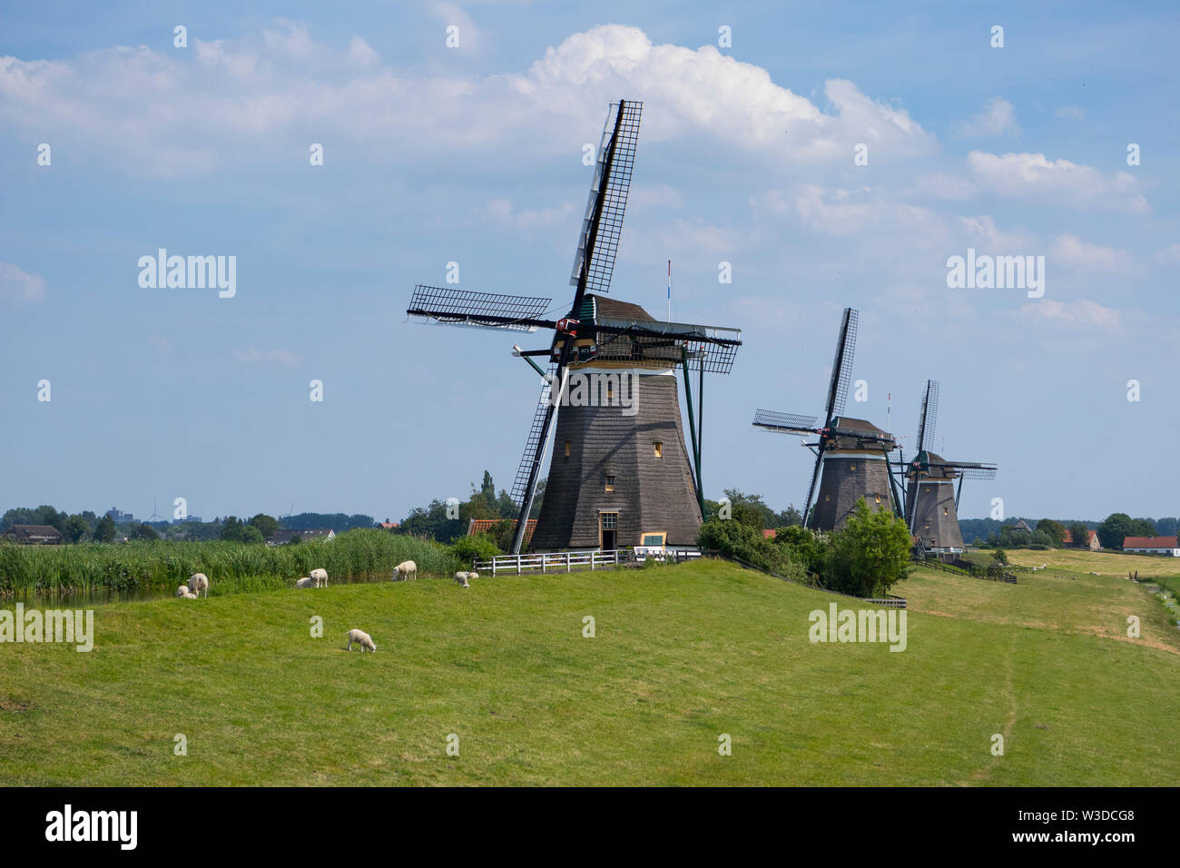 Leidschendam, Niederlande - 24 Juni 2019: Molendriegang, drei Windmühlen, in der Gegend von Leidschendam Stockfoto