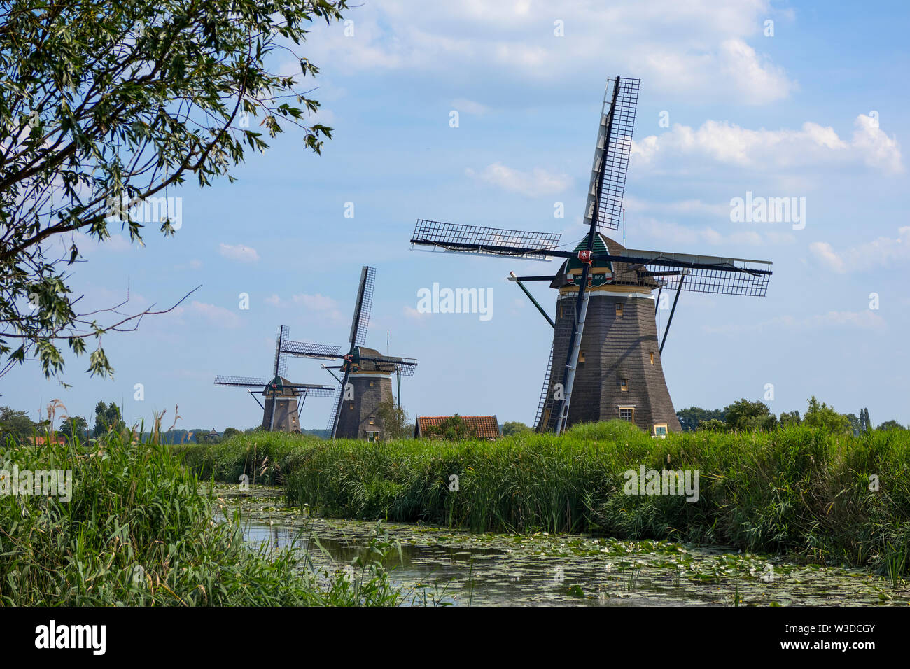 Leidschendam, Niederlande - 24 Juni 2019: Molendriegang, drei Windmühlen, in der Gegend von Leidschendam Stockfoto