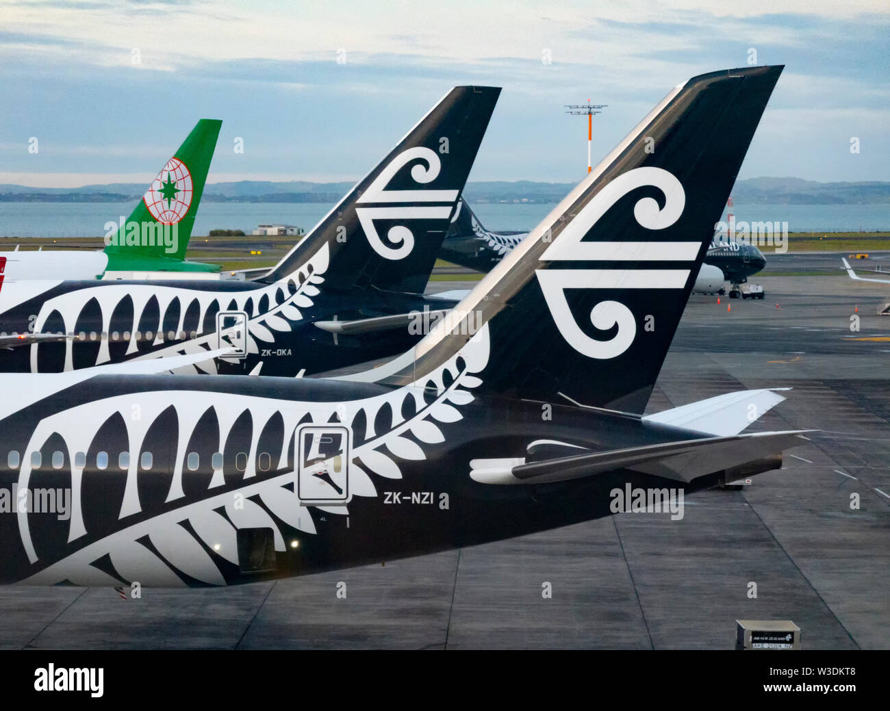 Markante schwanz Malerei Details von Air New Zealand Flugzeuge, Brisbane, Queensland, Queensland, Australien Stockfoto