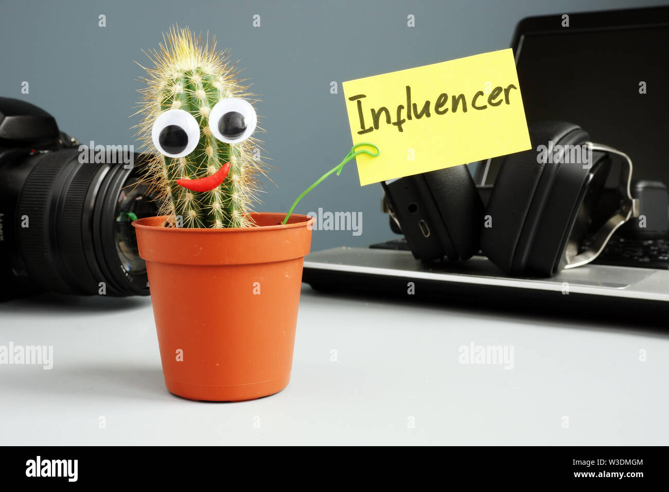 Cactus Holding unterzeichnen Beeinflusser. Kamera und Laptop für Blogging und Social Media Content. Stockfoto