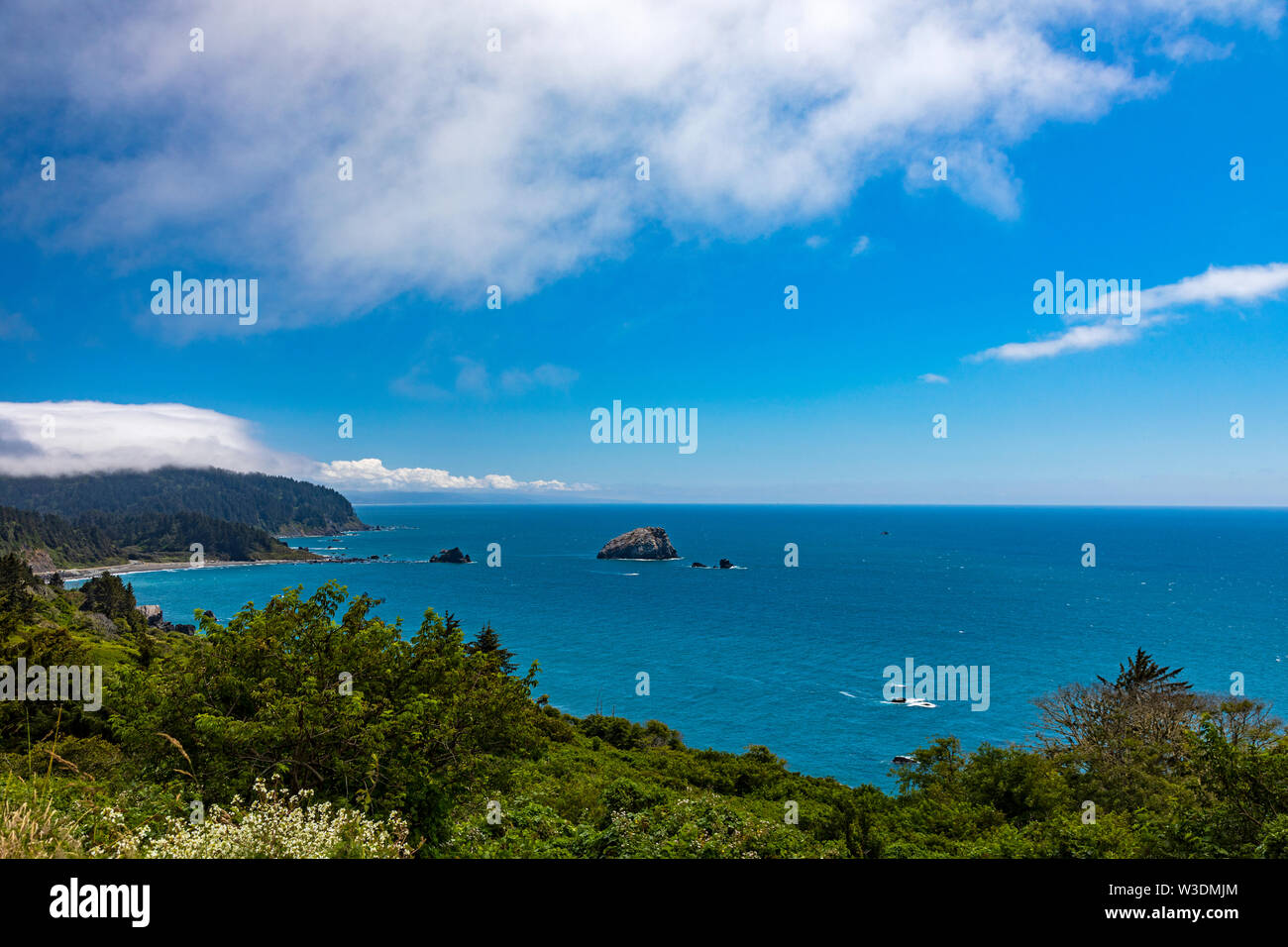 Dies ist ein Blick auf die atemberaubende Pazifik Küste wie gesehen von einem auf dem Highway 101 etwa 10 Meilen südlich von Crescent City, Kalifornien, USA blicken. Stockfoto