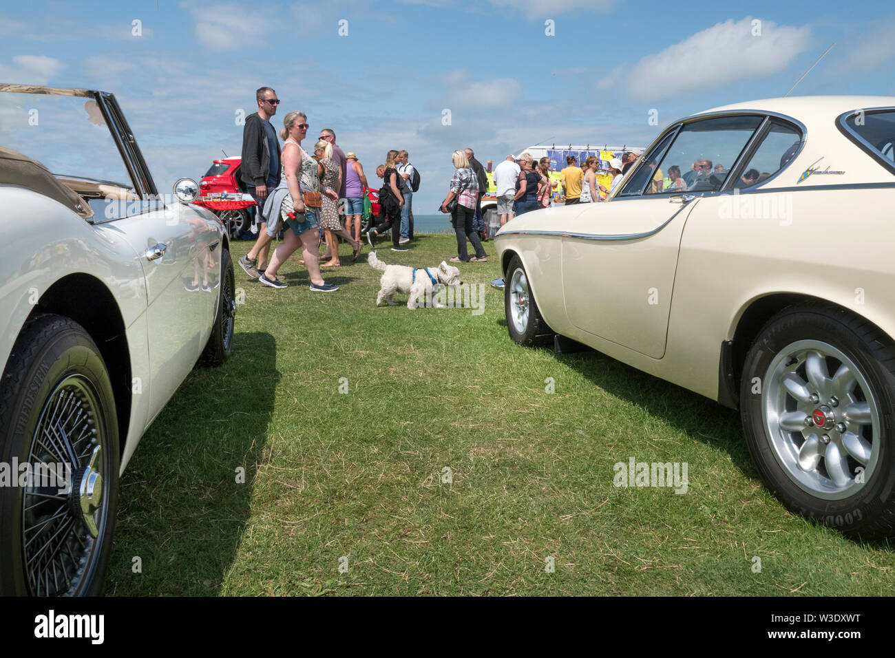 Classic Car Show Whitstable 2019 Stockfoto