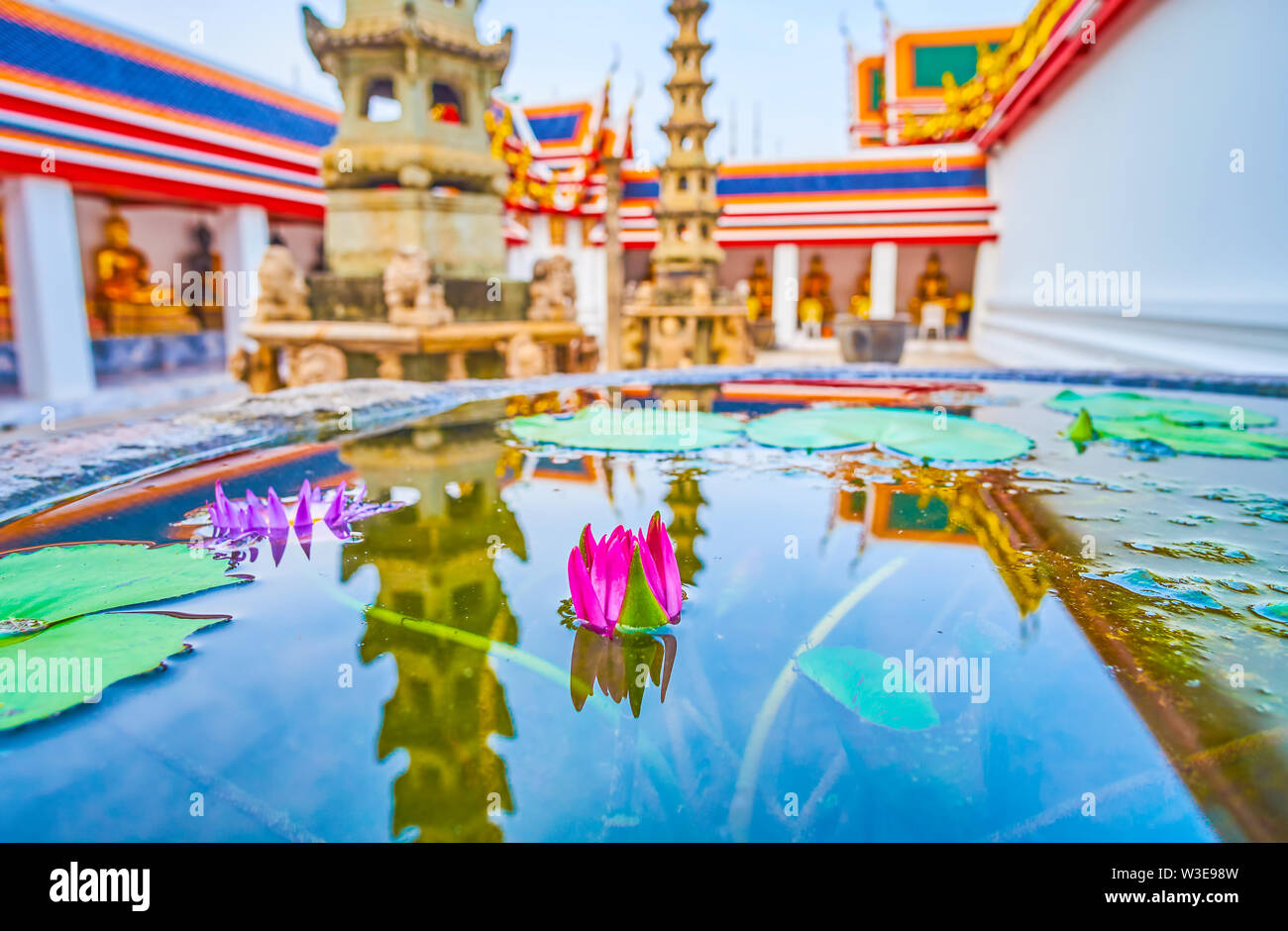 Die Seerose wächst in kleinen Topf, mit Wasser im Phra Rabiang Kreuzgang im Tempel Wat Pho, Bangkok, Thailnad Stockfoto