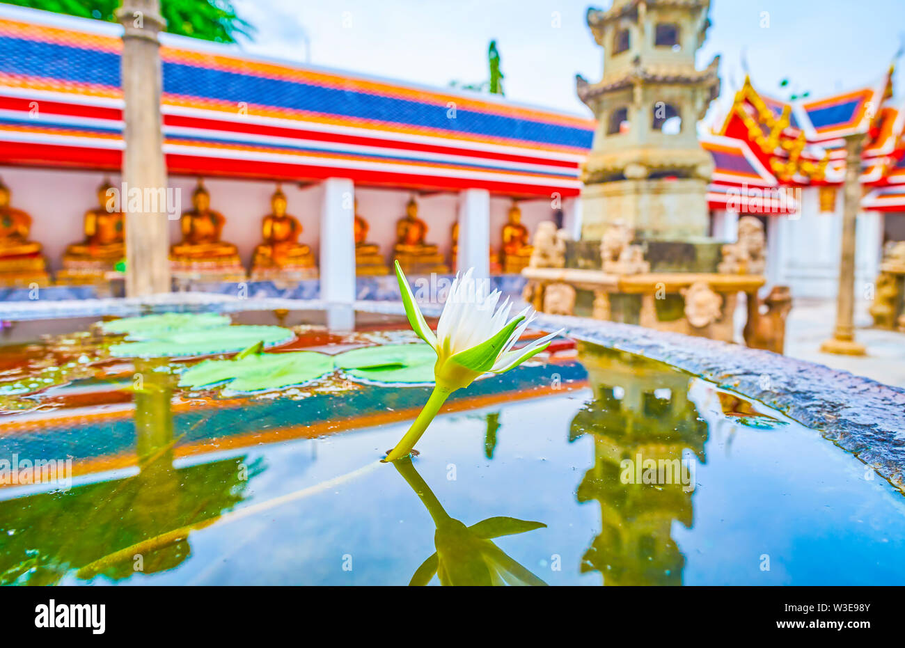 Die seerose Blüten in Wat Pho Tempel in einem speziellen Töpfe in den kleinen Innenhof von Phra Rabiang Kreuzgang, Bangkok, Thailand Stockfoto