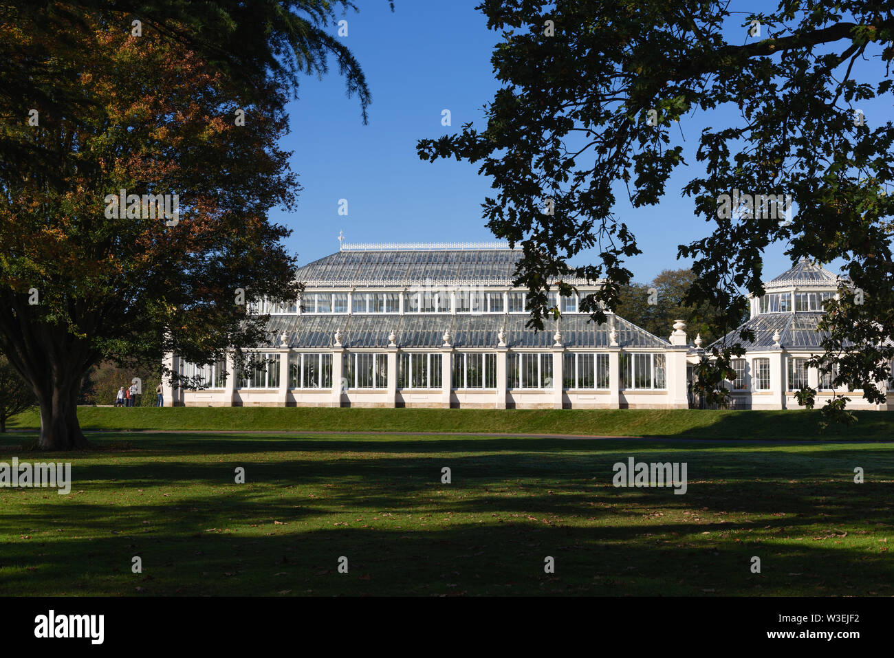 Die Gemäßigten Haus, Kew Gardens, London, UK Stockfoto